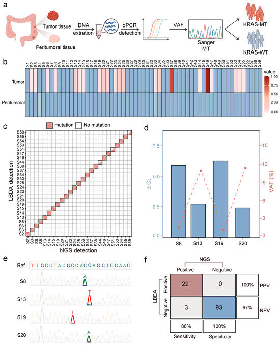 Analysis of Colorectal Cancer Gene Mutations and Application