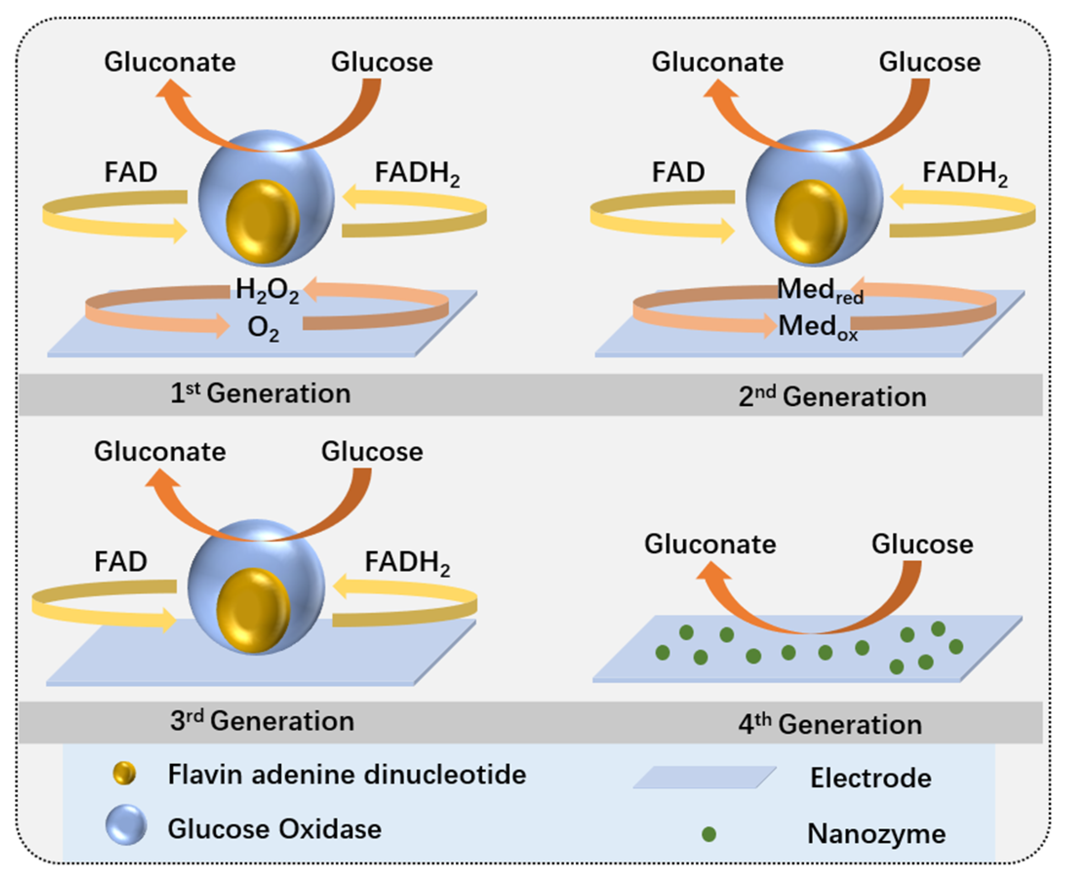 Biosensors 15 00309 g003