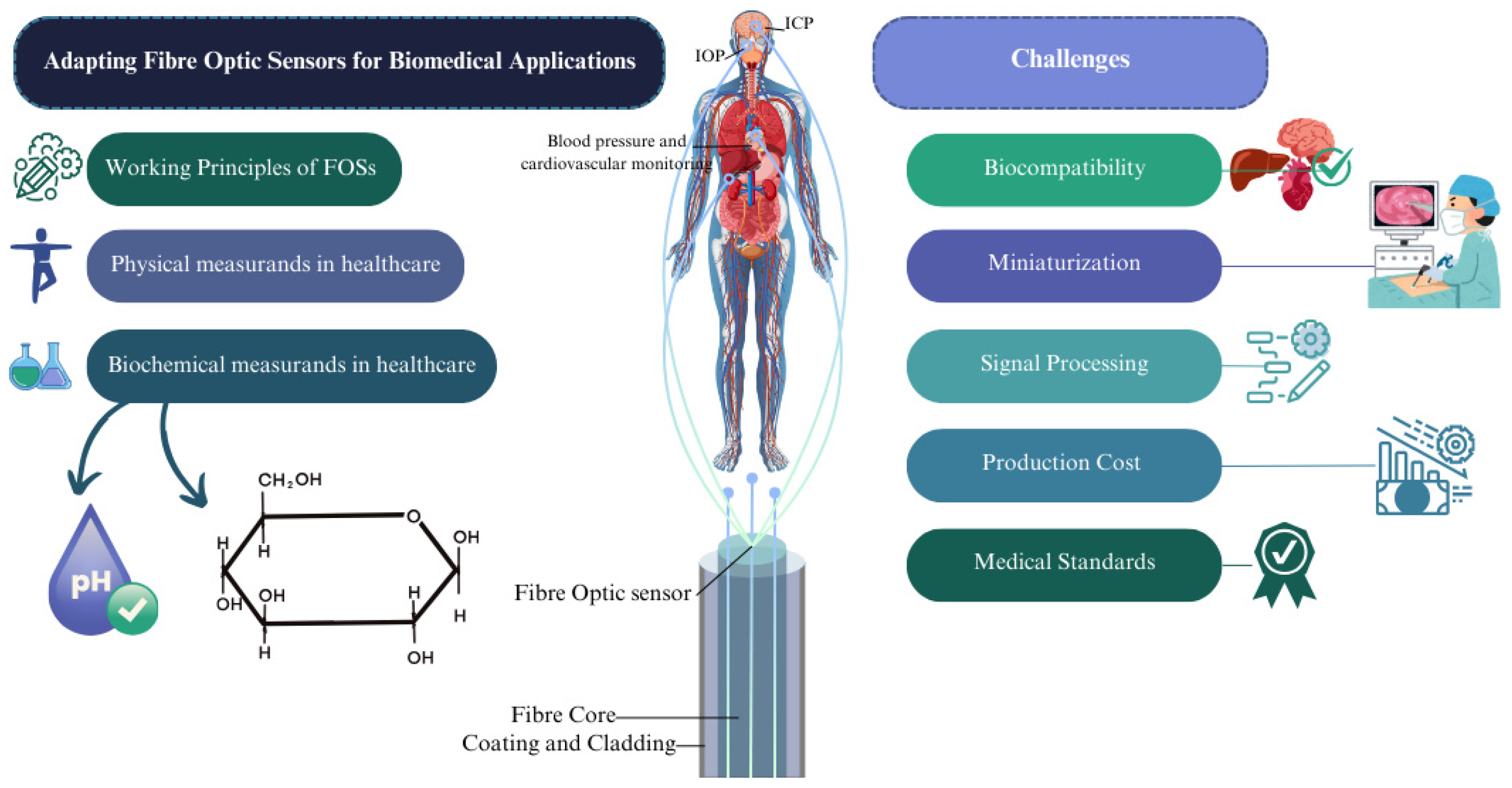 Biosensors 15 00312 g001