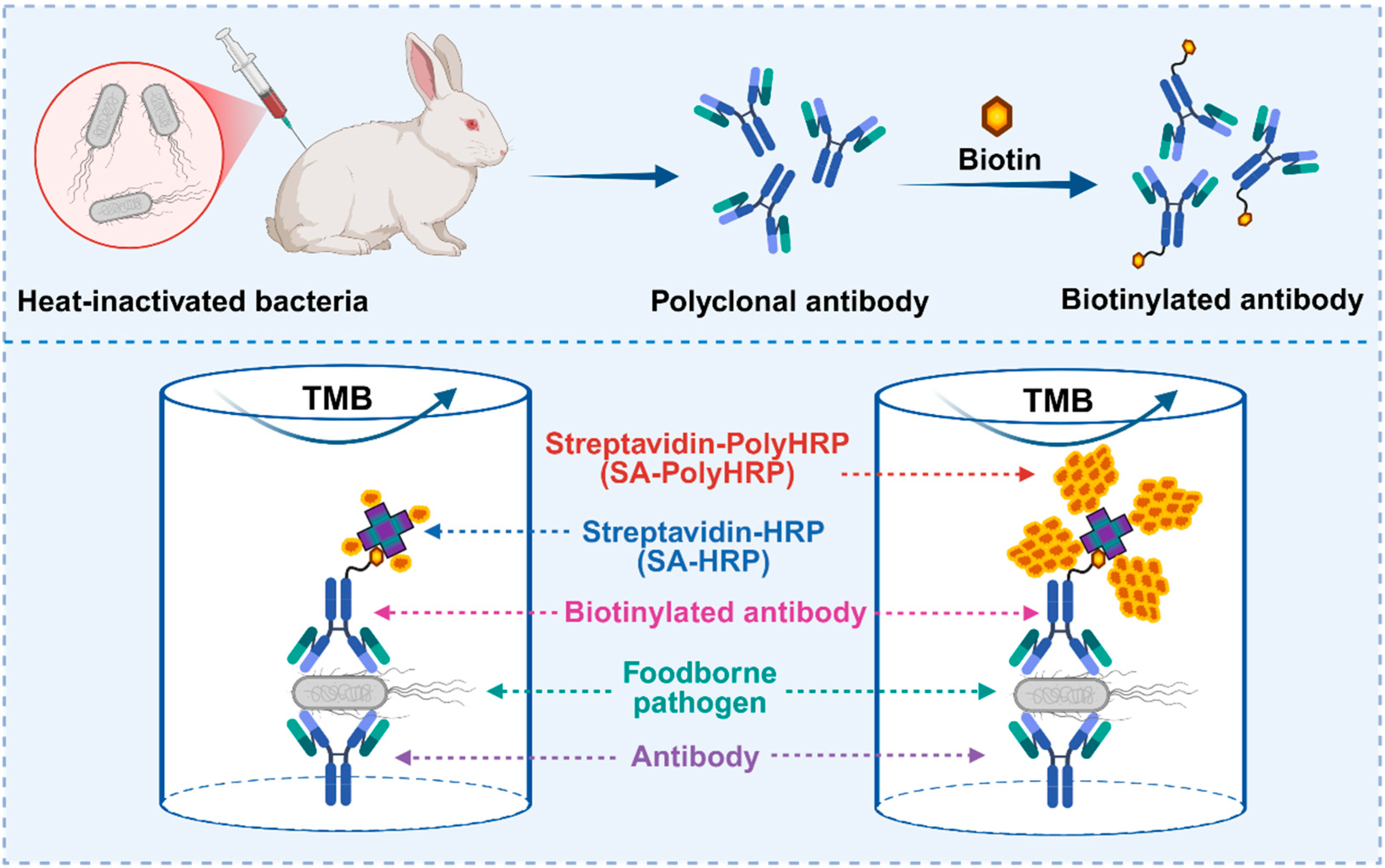 Biosensors 15 00318 sch001