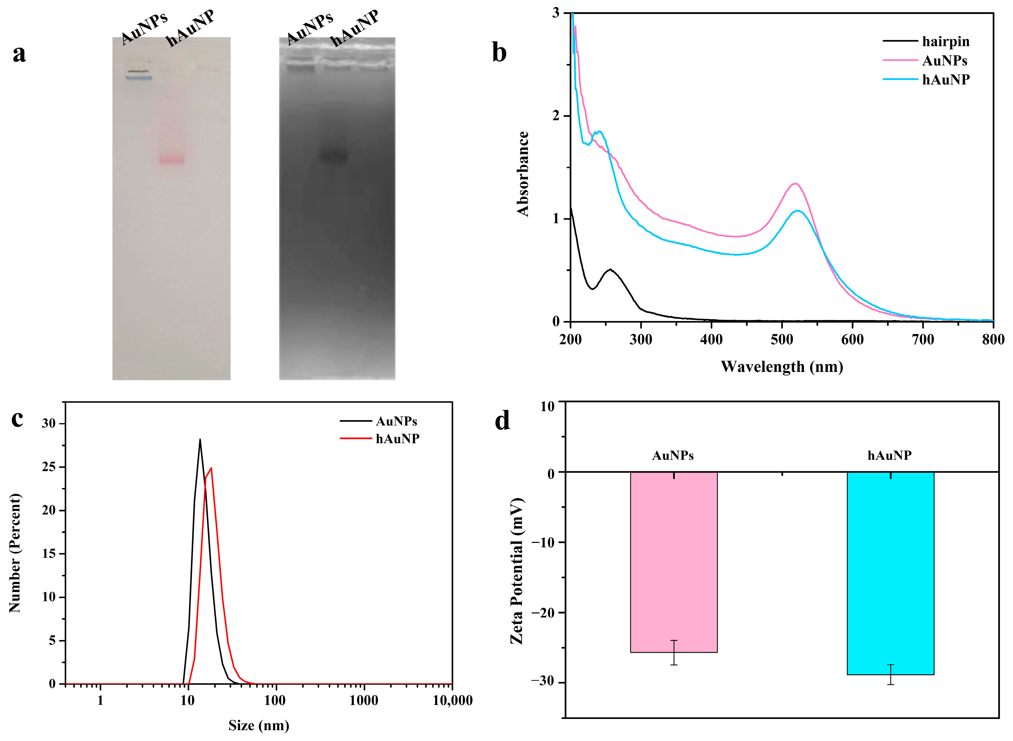 Biosensors 15 00319 g001