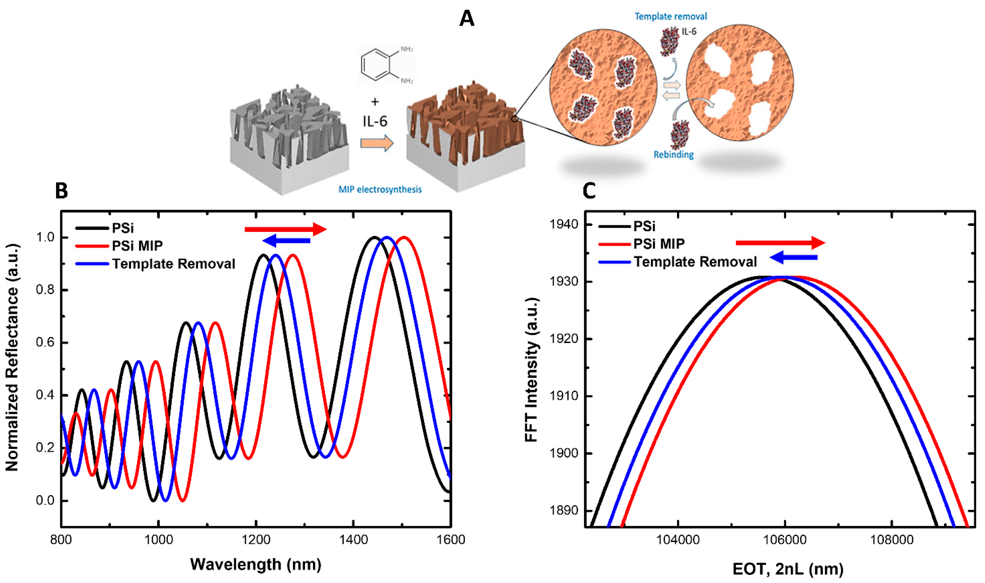 Biosensors 15 00320 g003