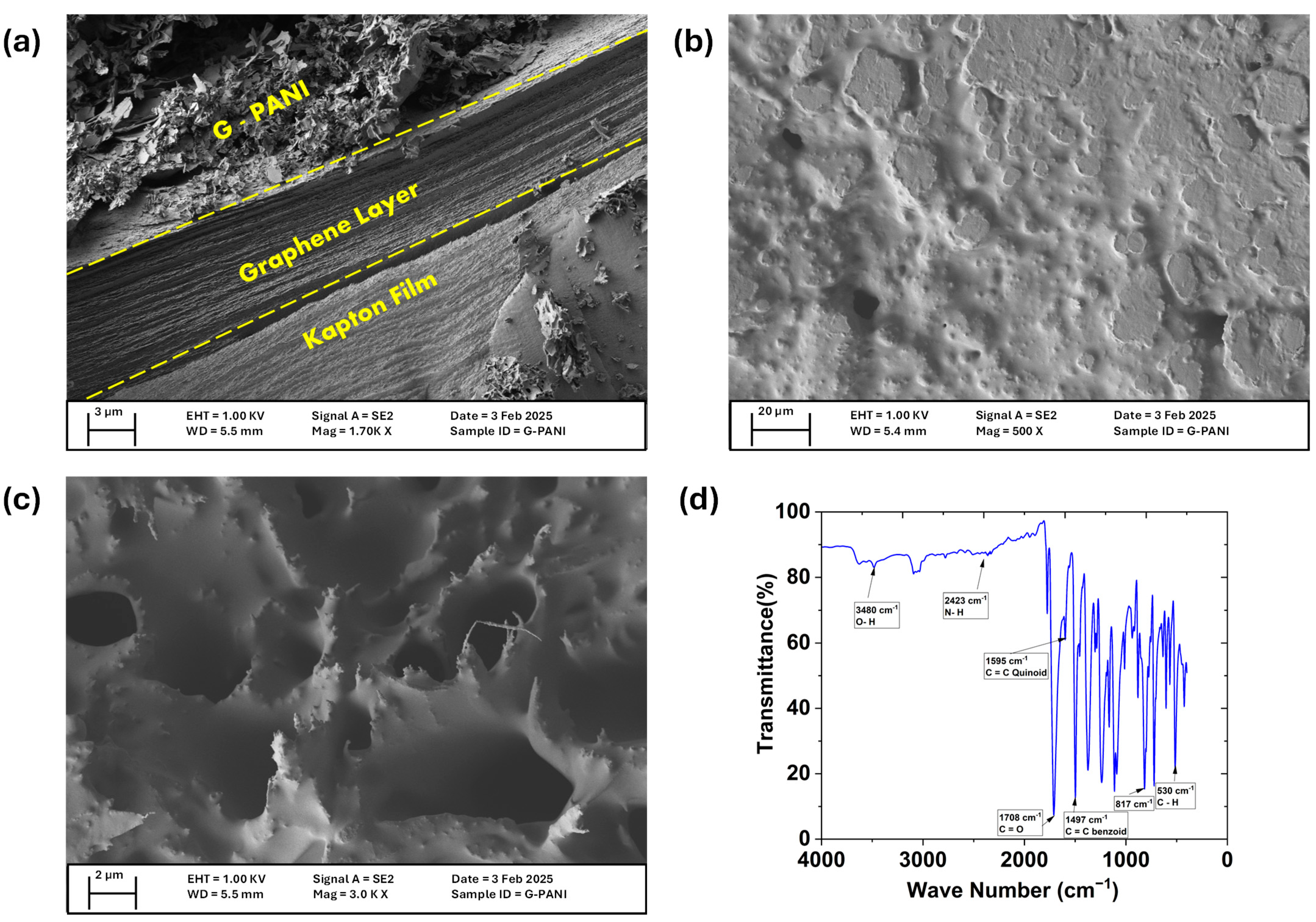 Biosensors 15 00321 g002