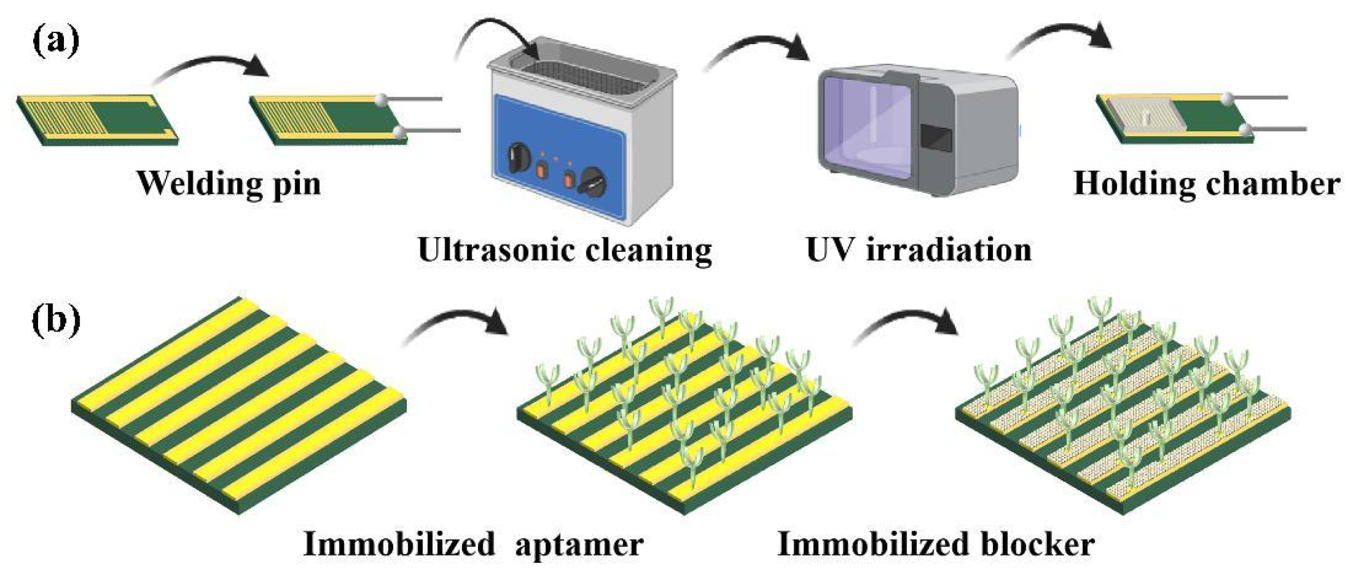 Biosensors 15 00322 g001