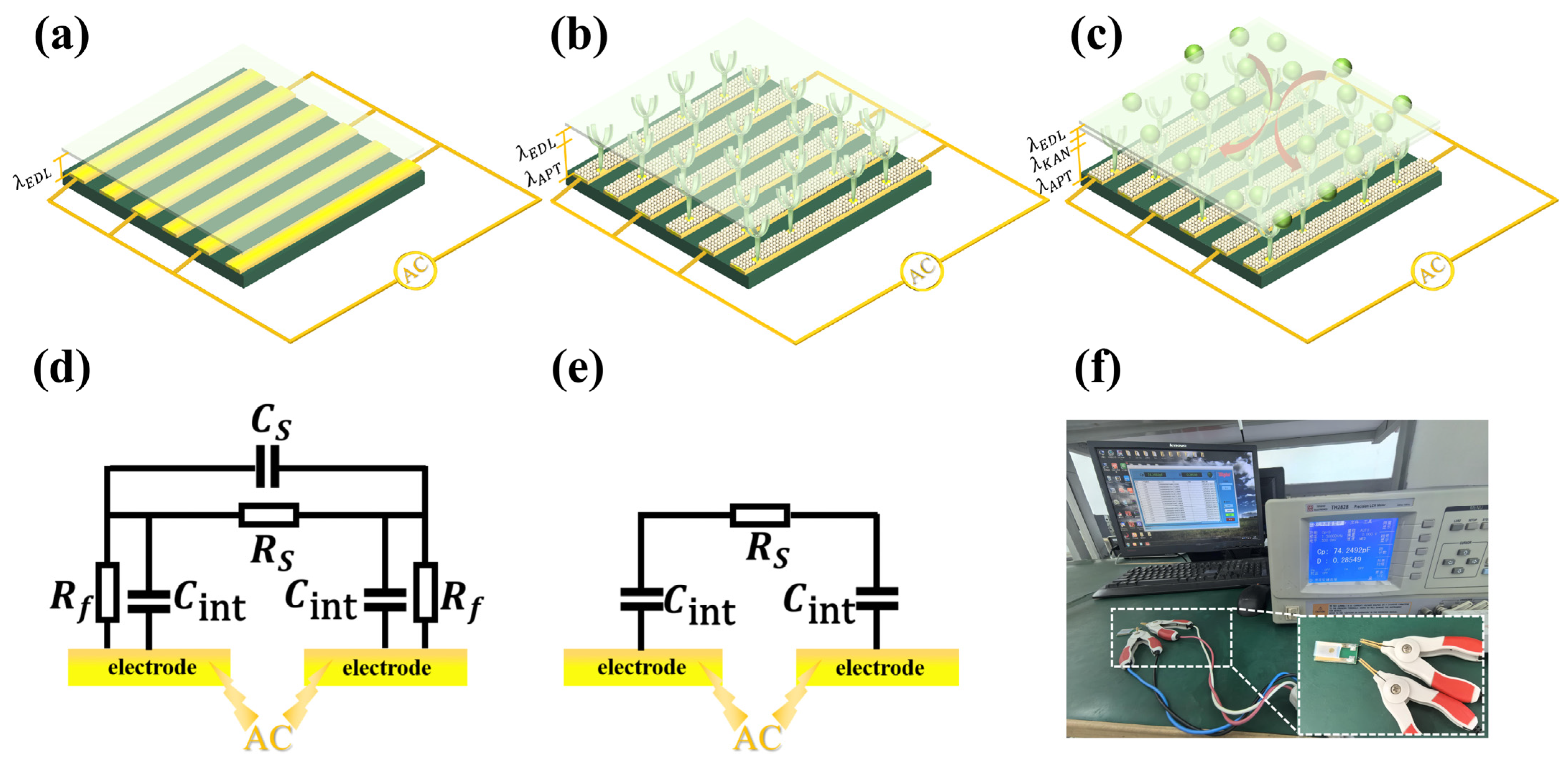 Biosensors 15 00322 g002