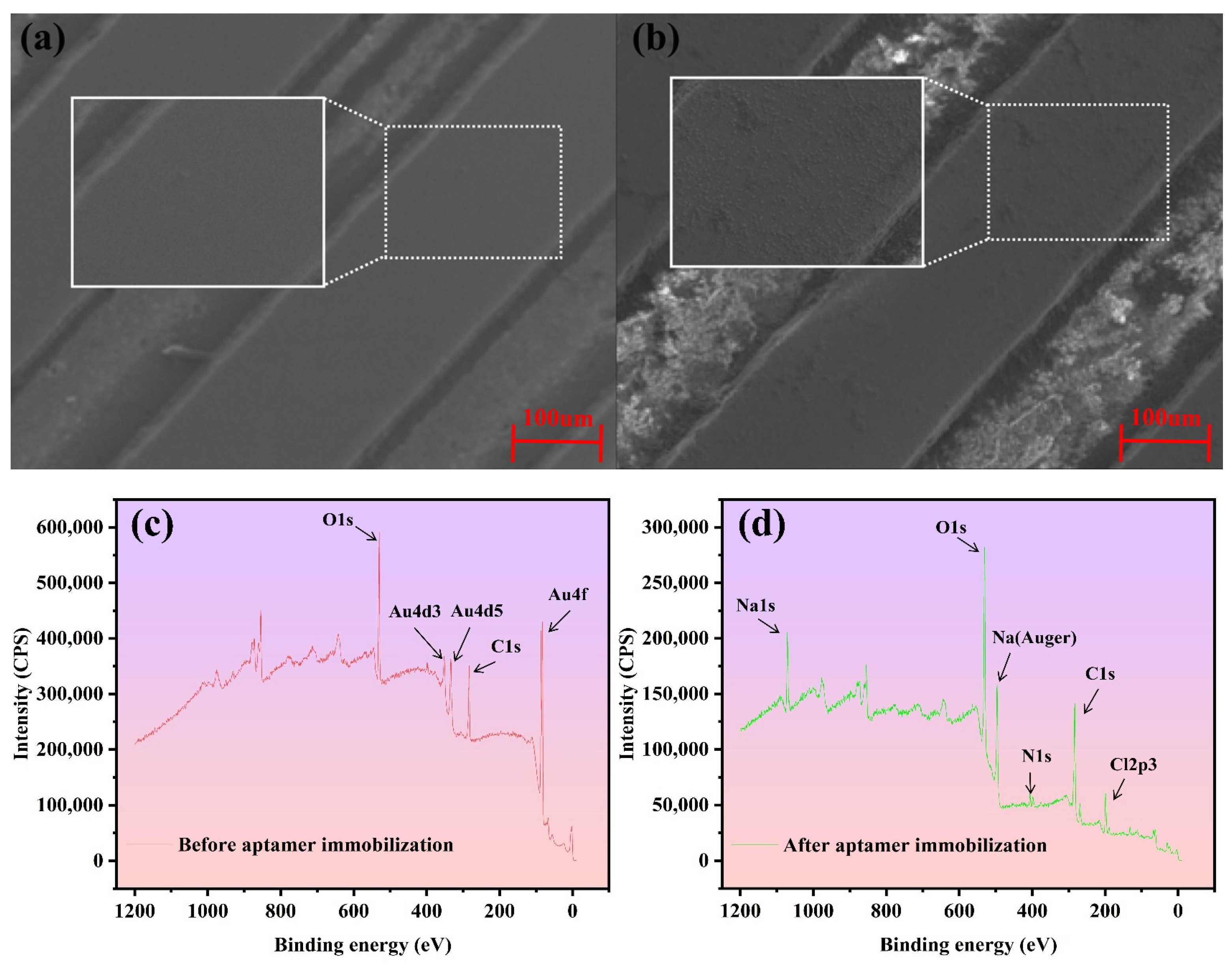 Biosensors 15 00322 g003