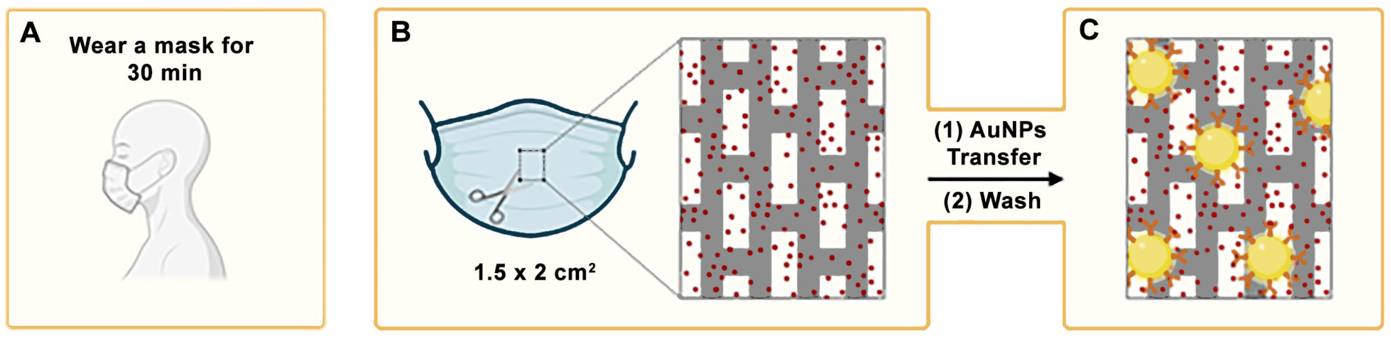 Biosensors 15 00323 g001