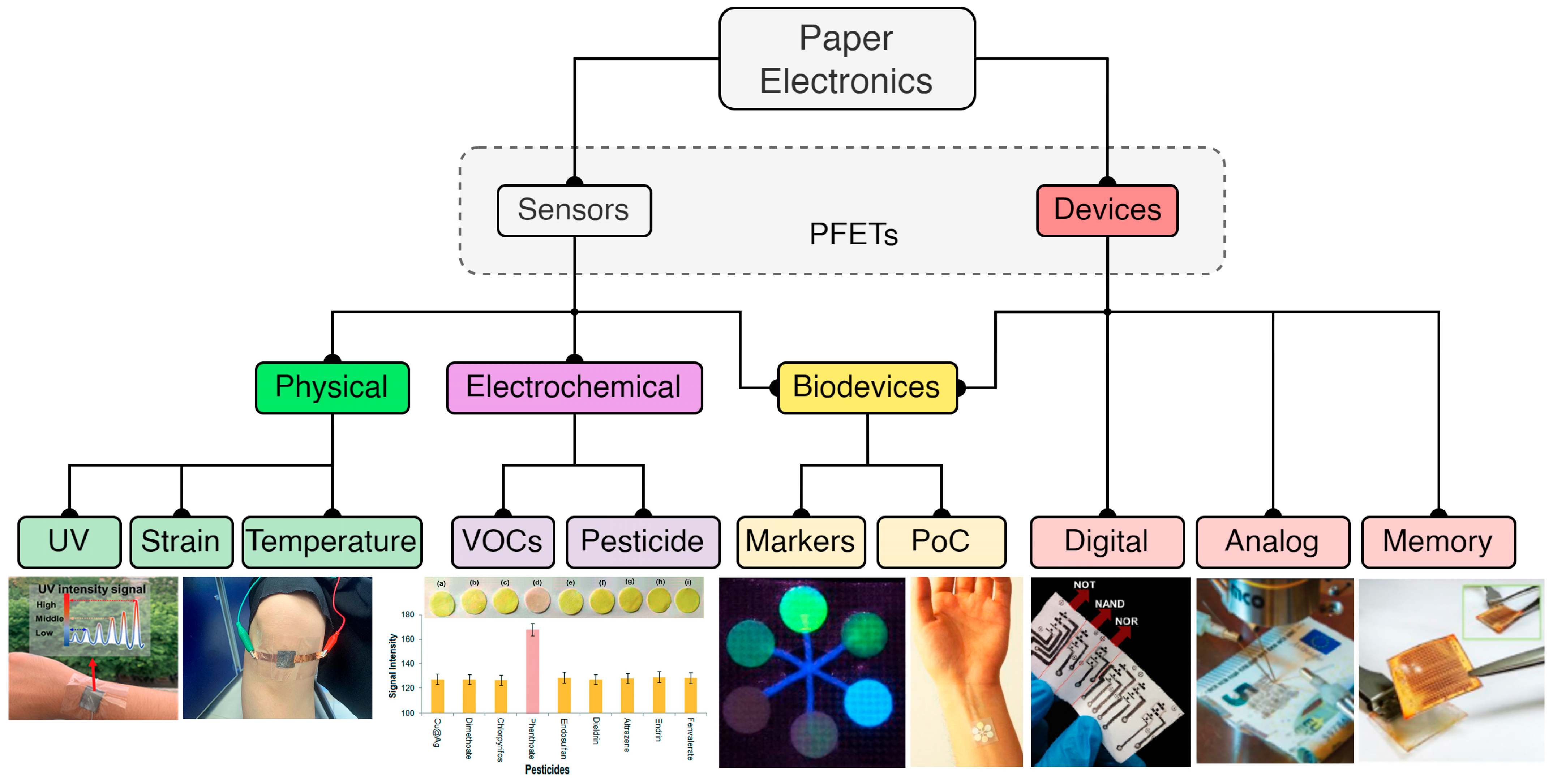 Biosensors 15 00324 g003