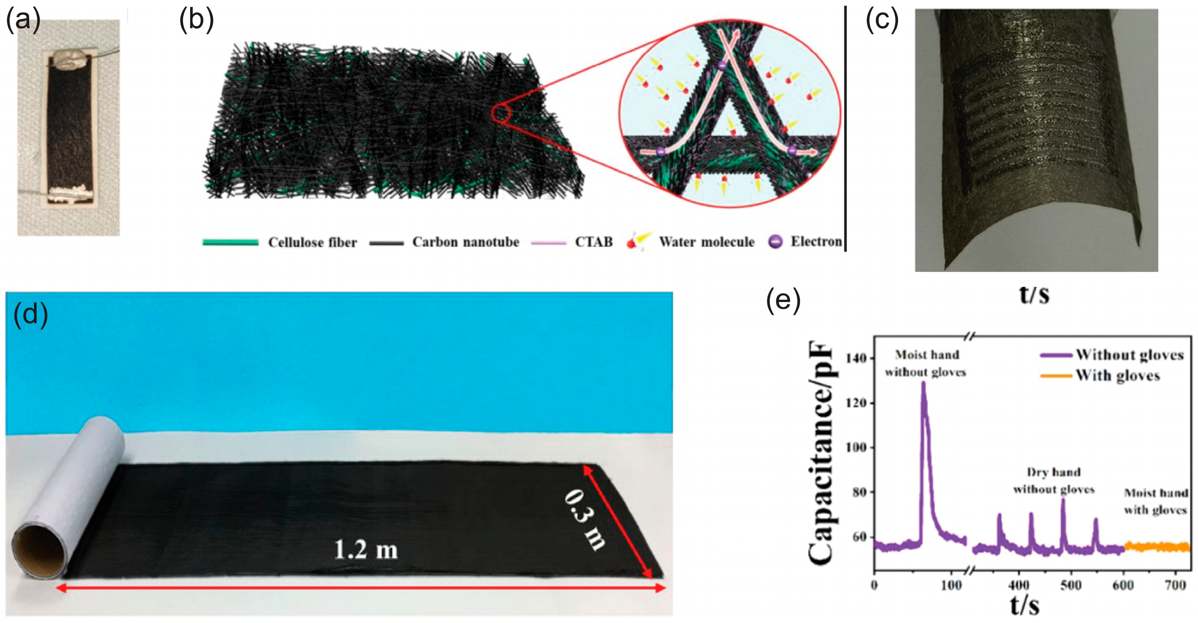 Biosensors 15 00324 g006