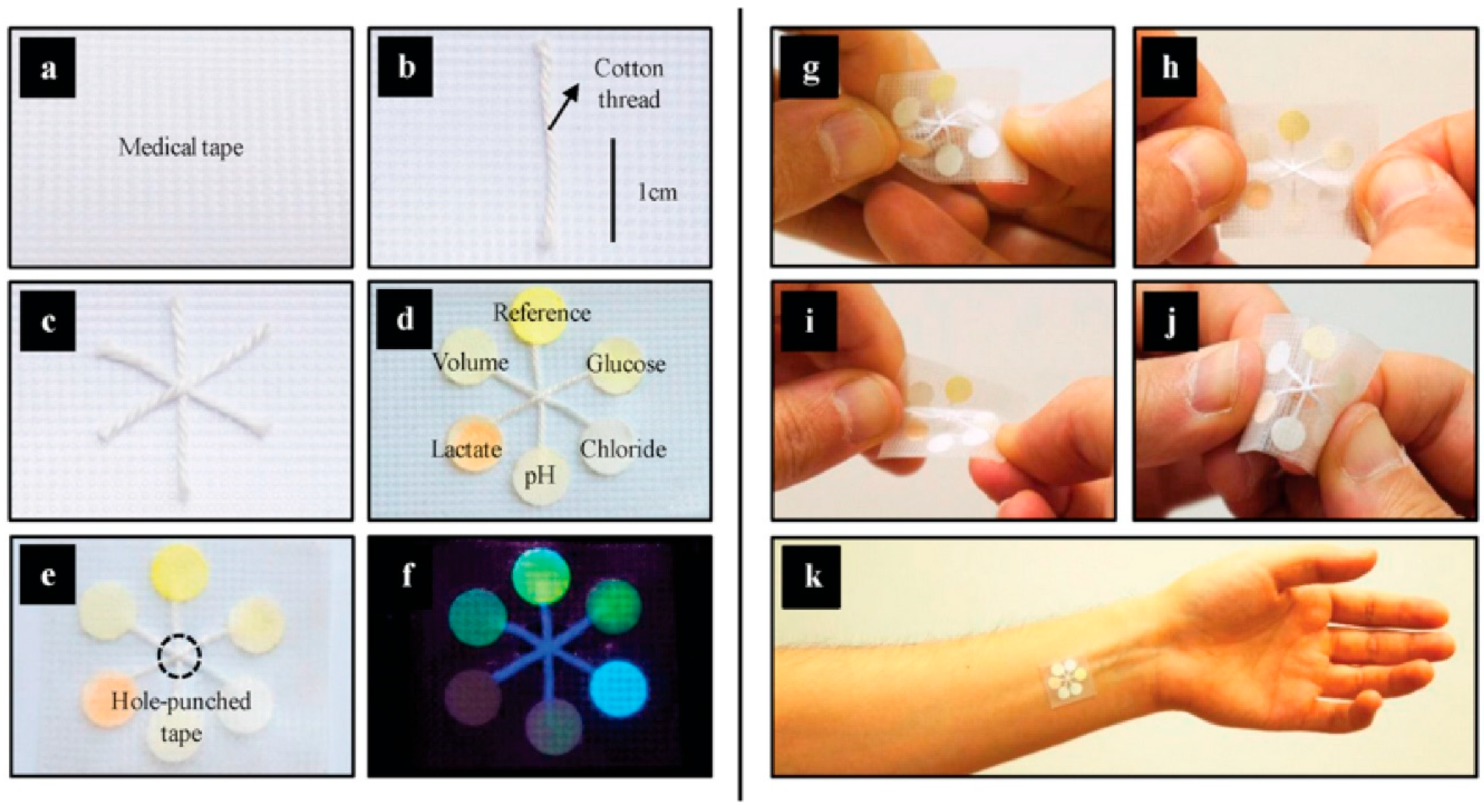 Biosensors 15 00324 g007