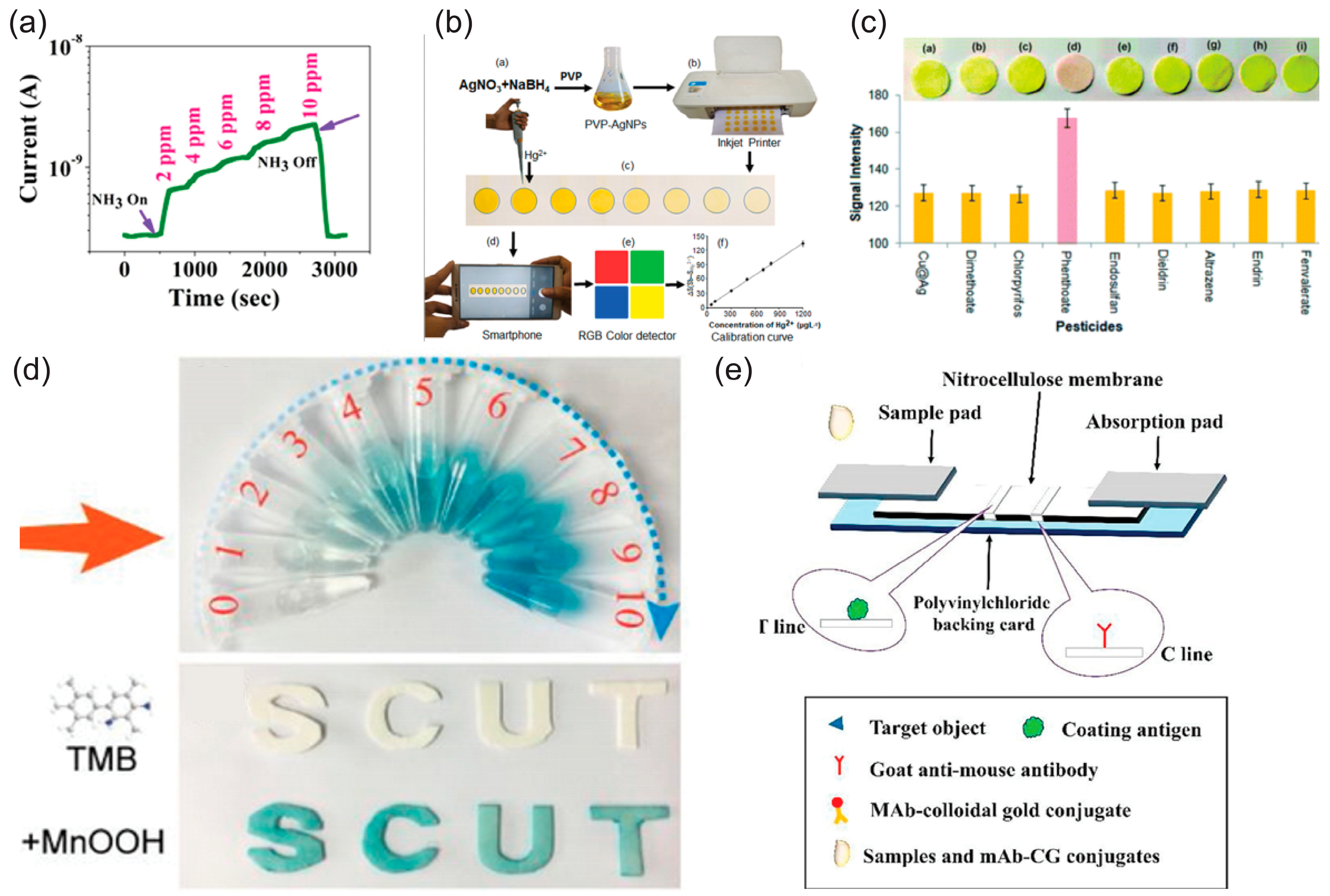 Biosensors 15 00324 g008