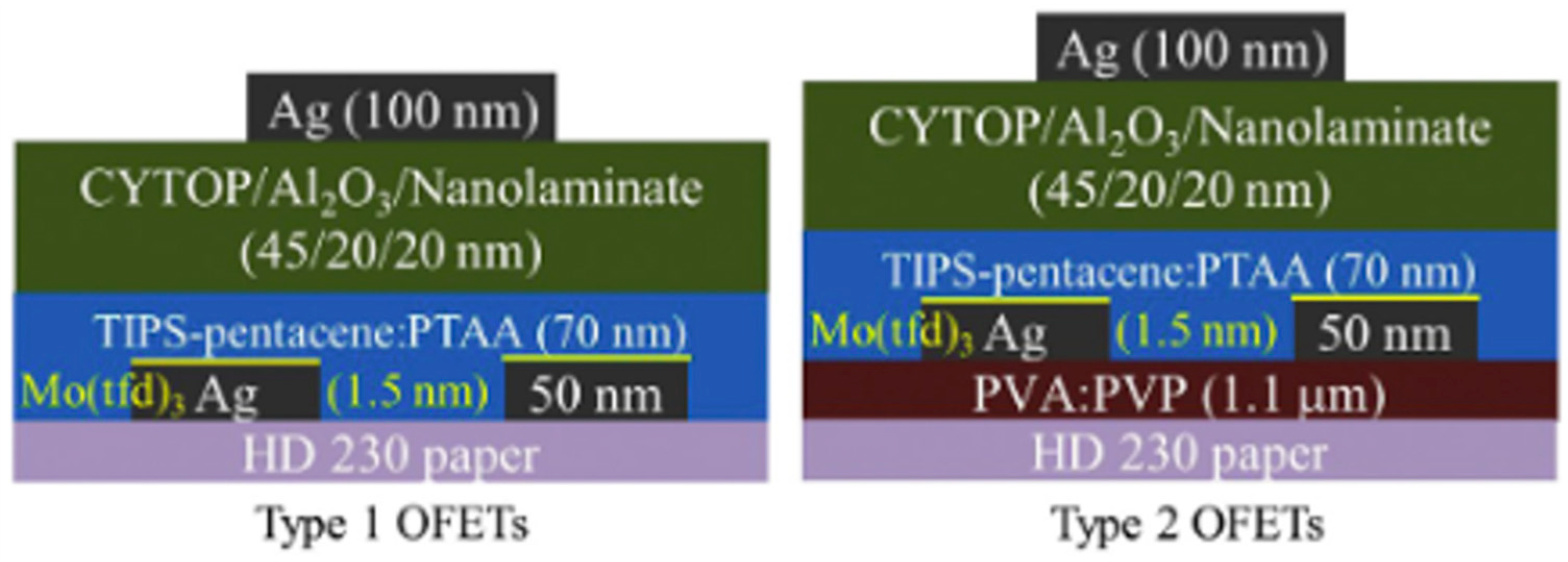 Biosensors 15 00324 g009