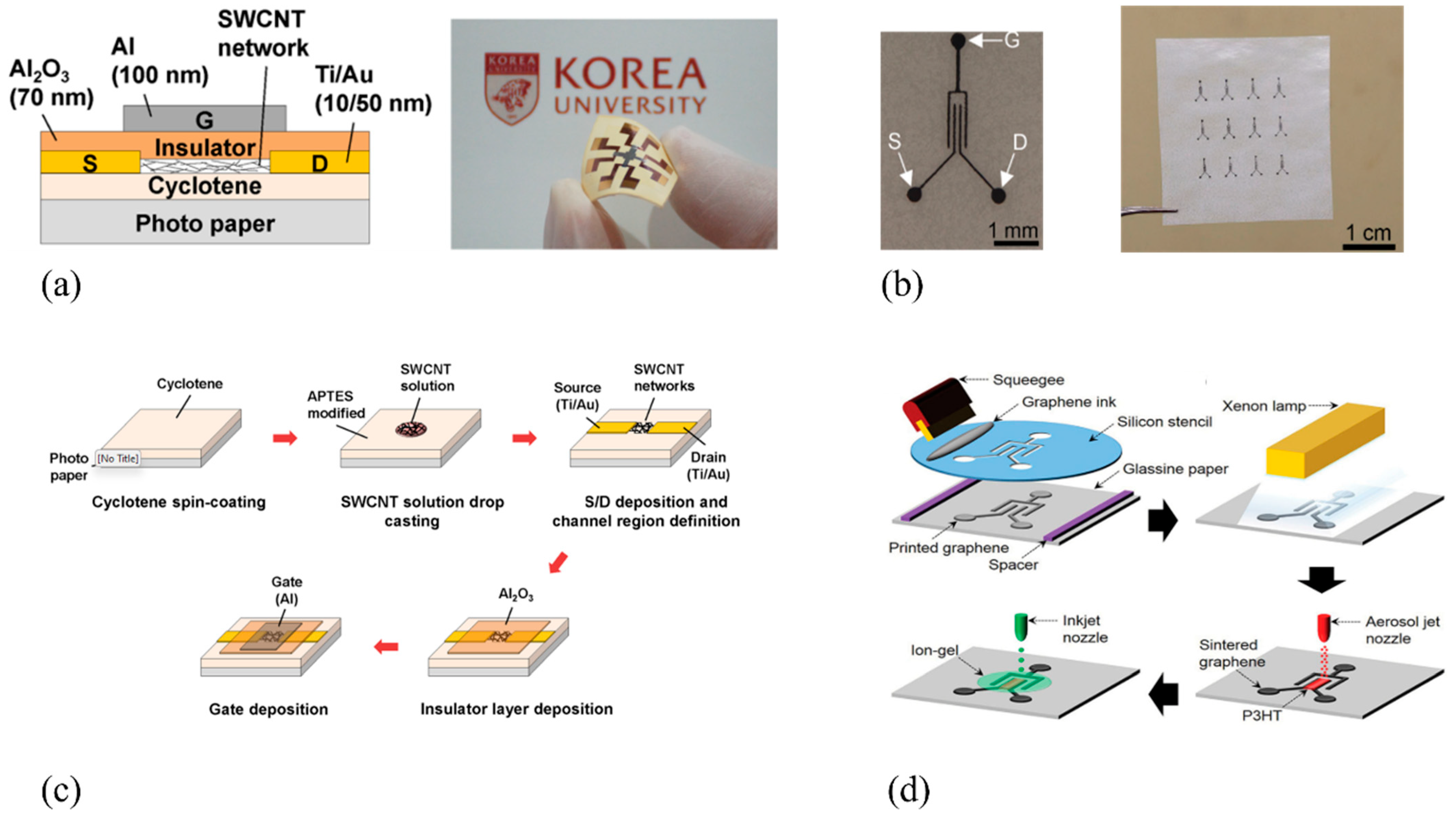 Biosensors 15 00324 g010