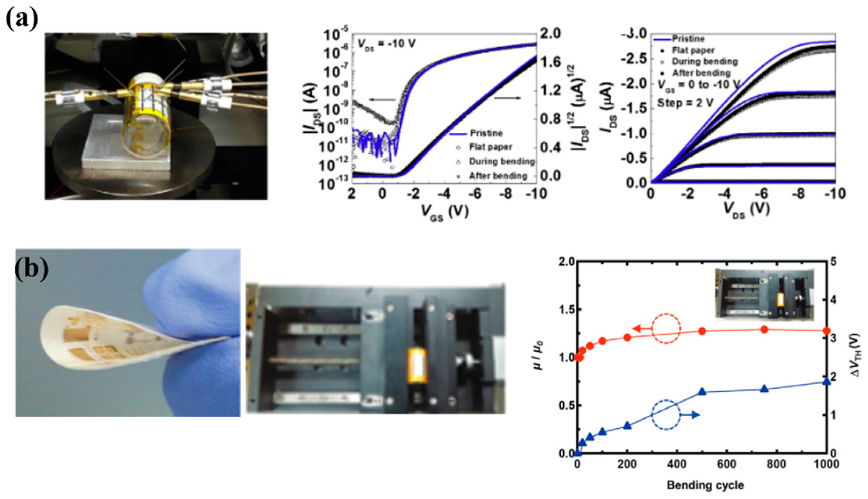 Biosensors 15 00324 g011