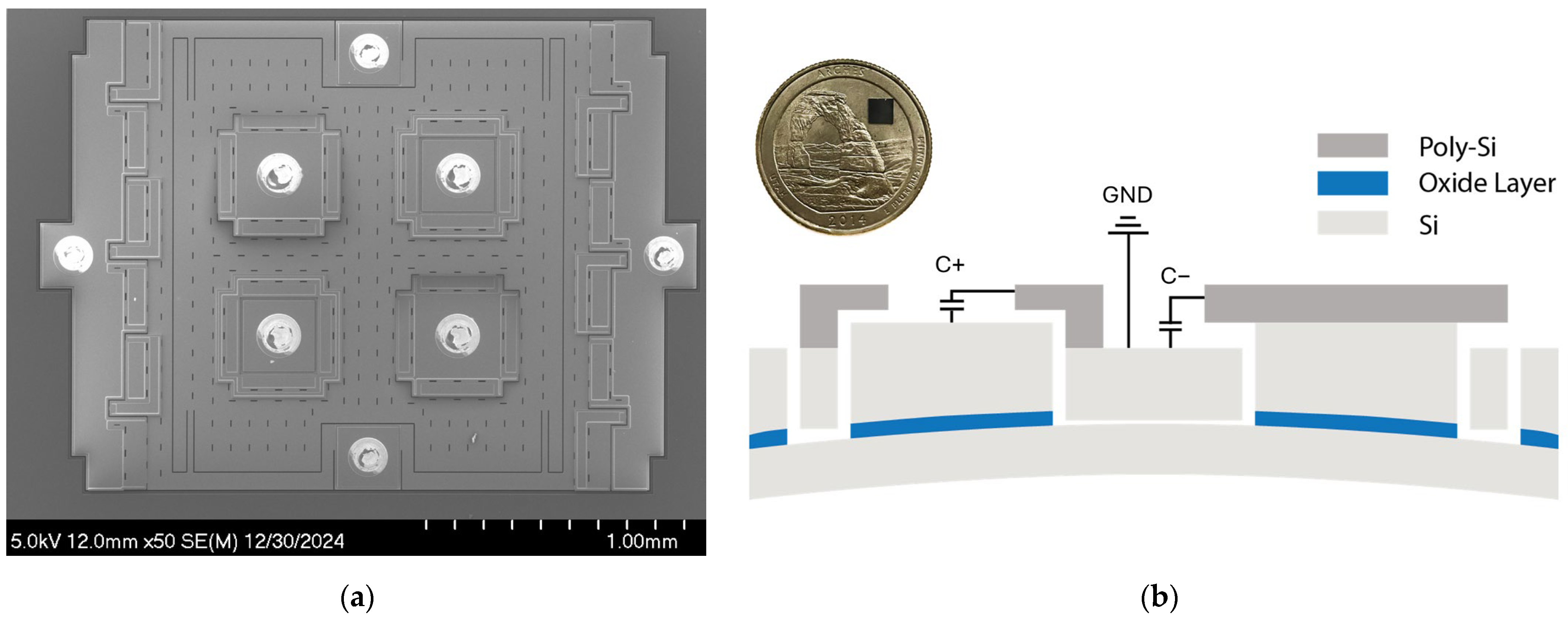 Biosensors 15 00325 g001