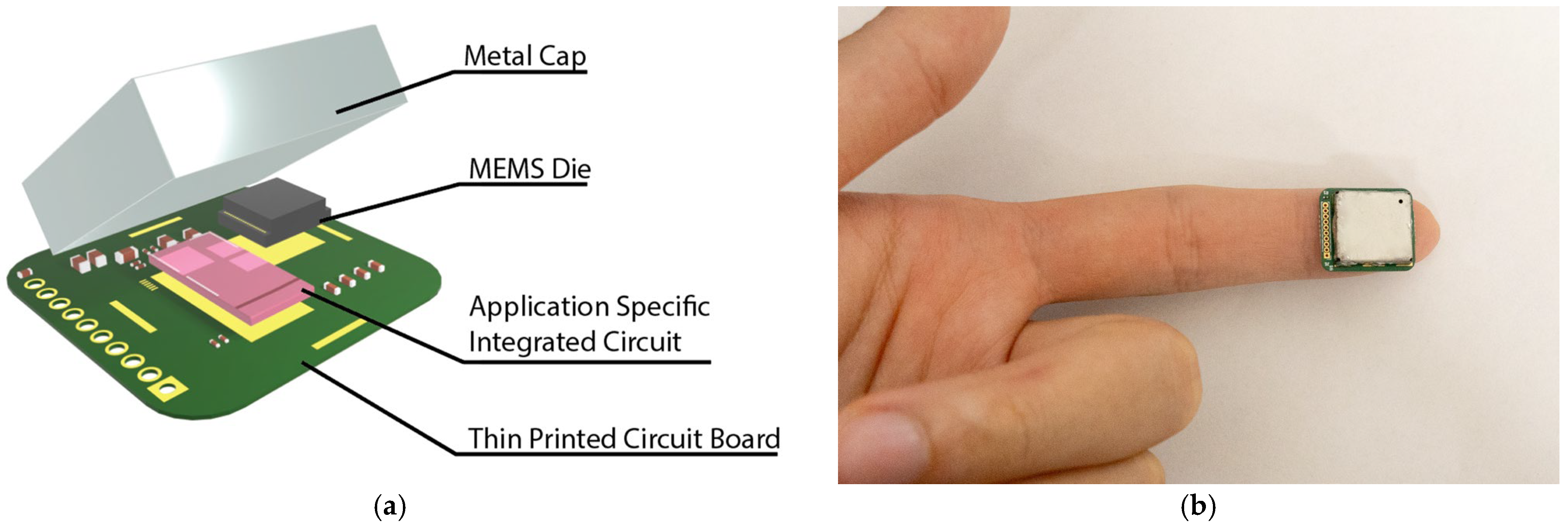 Biosensors 15 00325 g004