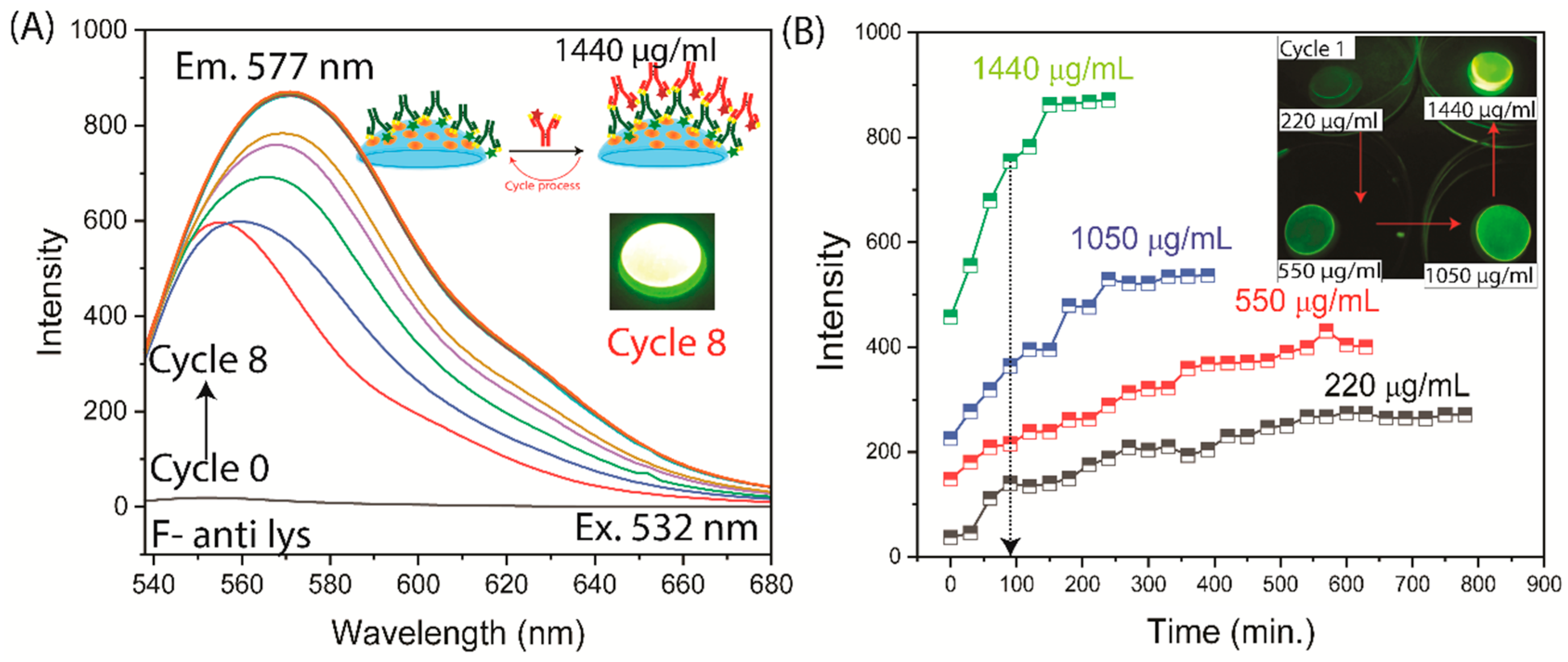 Biosensors 15 00326 g006