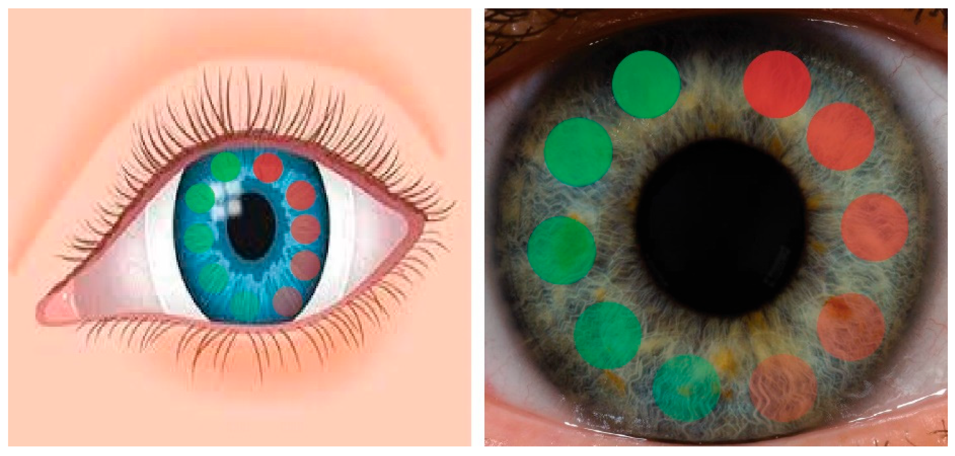 Biosensors 15 00326 g008