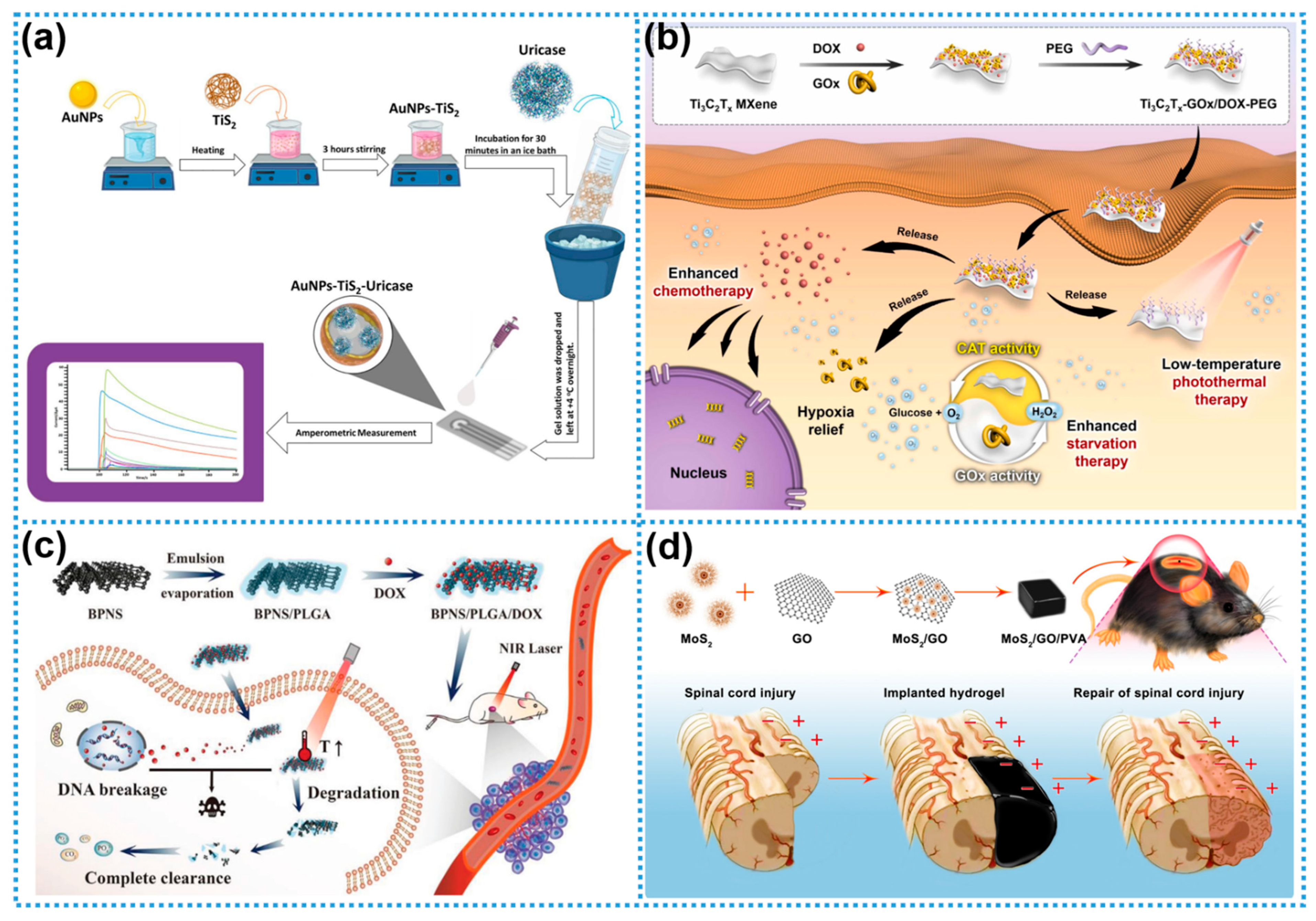 Biosensors 15 00328 g003