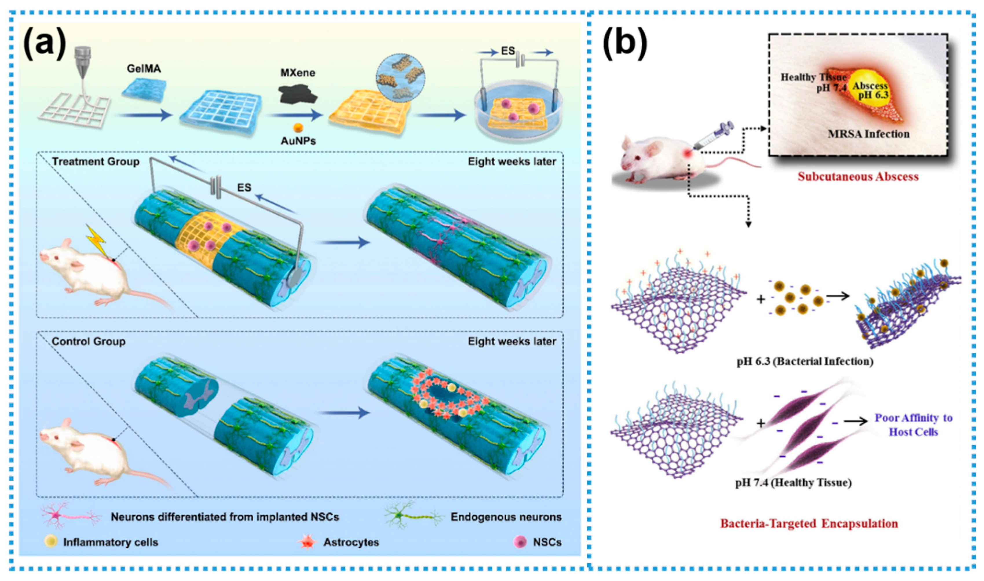 Biosensors 15 00328 g004