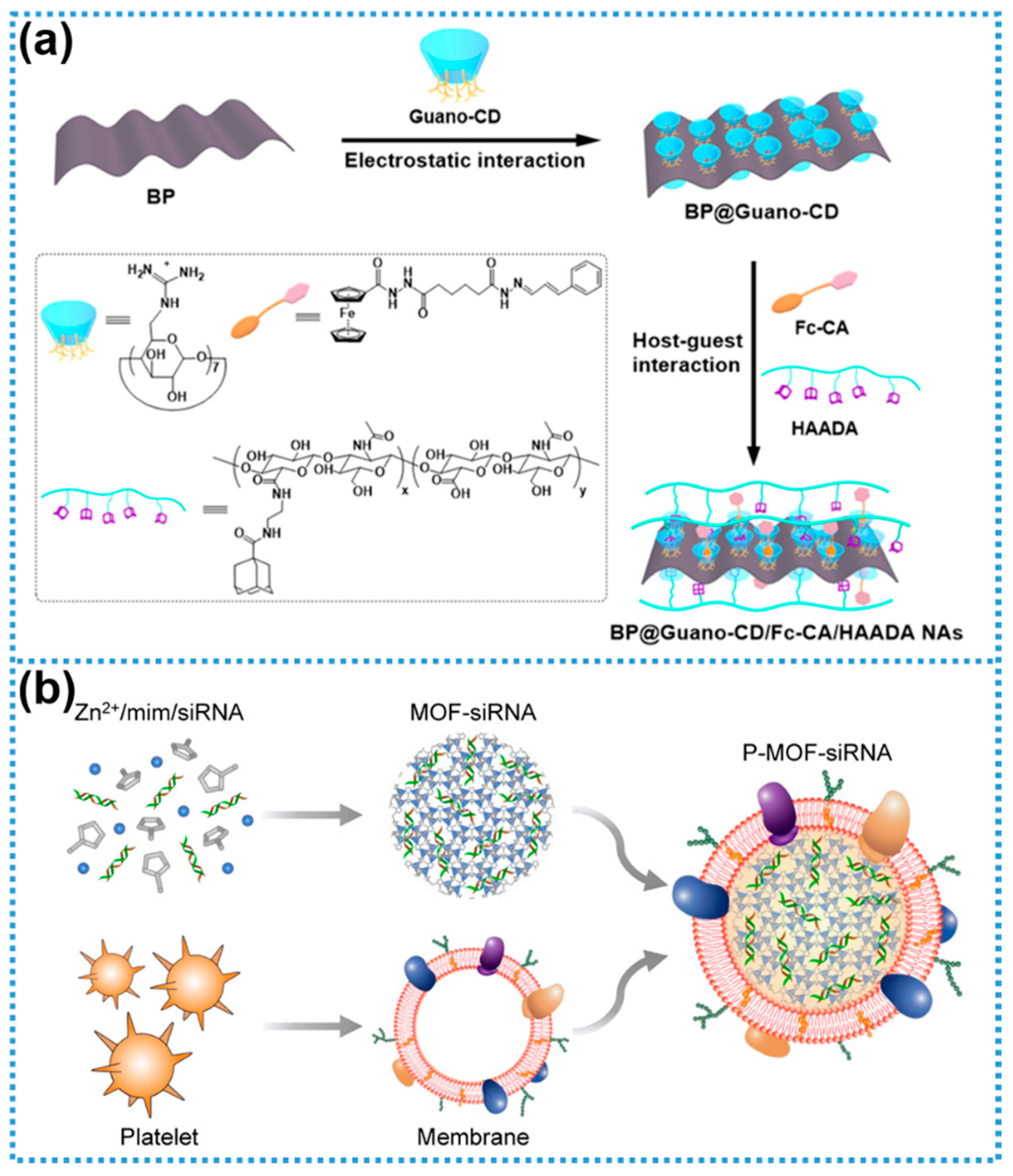 Biosensors 15 00328 g005