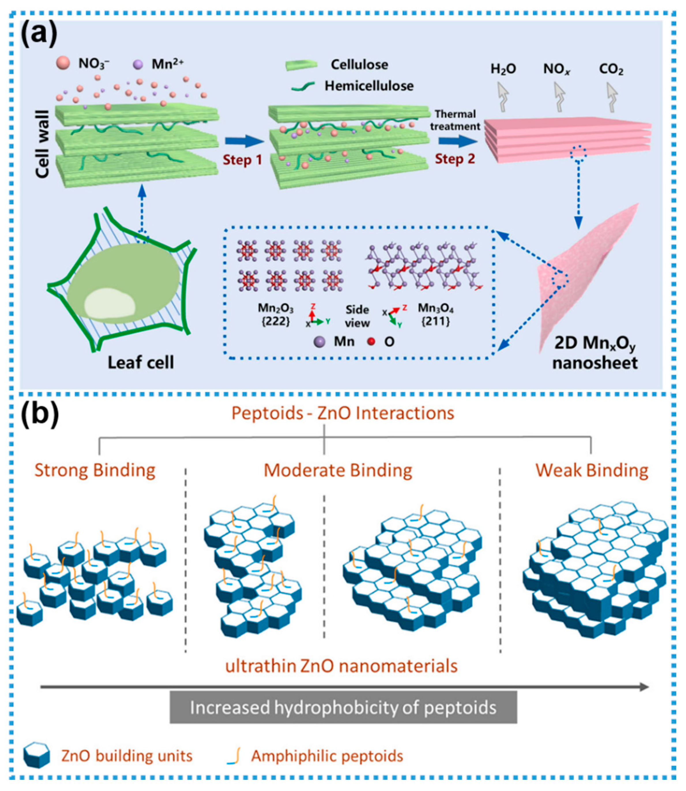 Biosensors 15 00328 g006