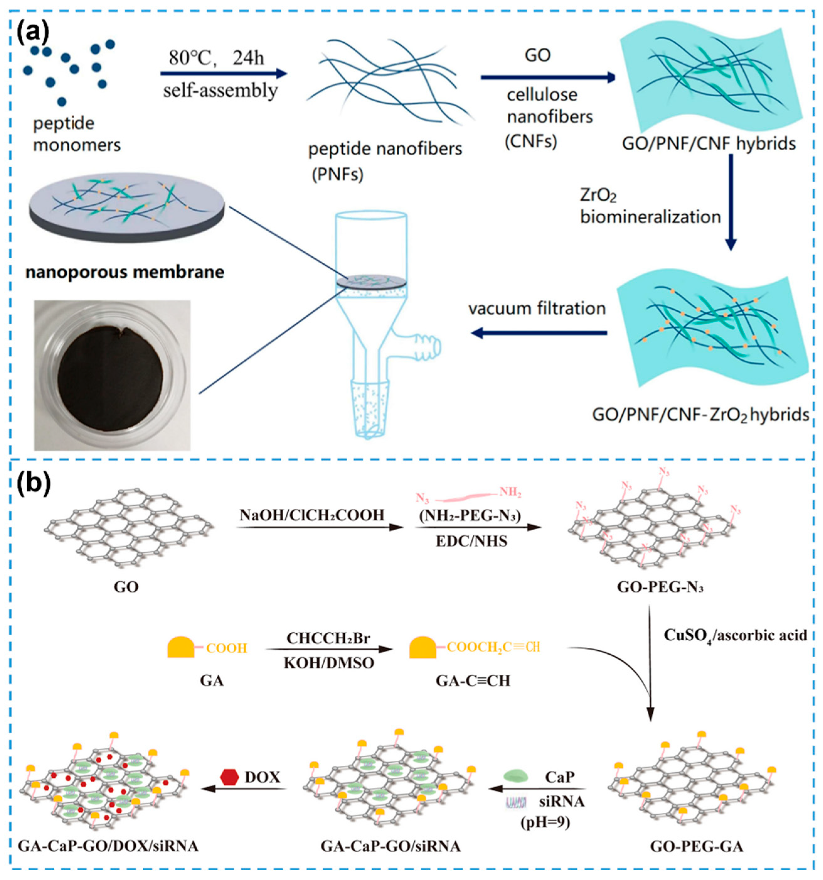 Biosensors 15 00328 g008