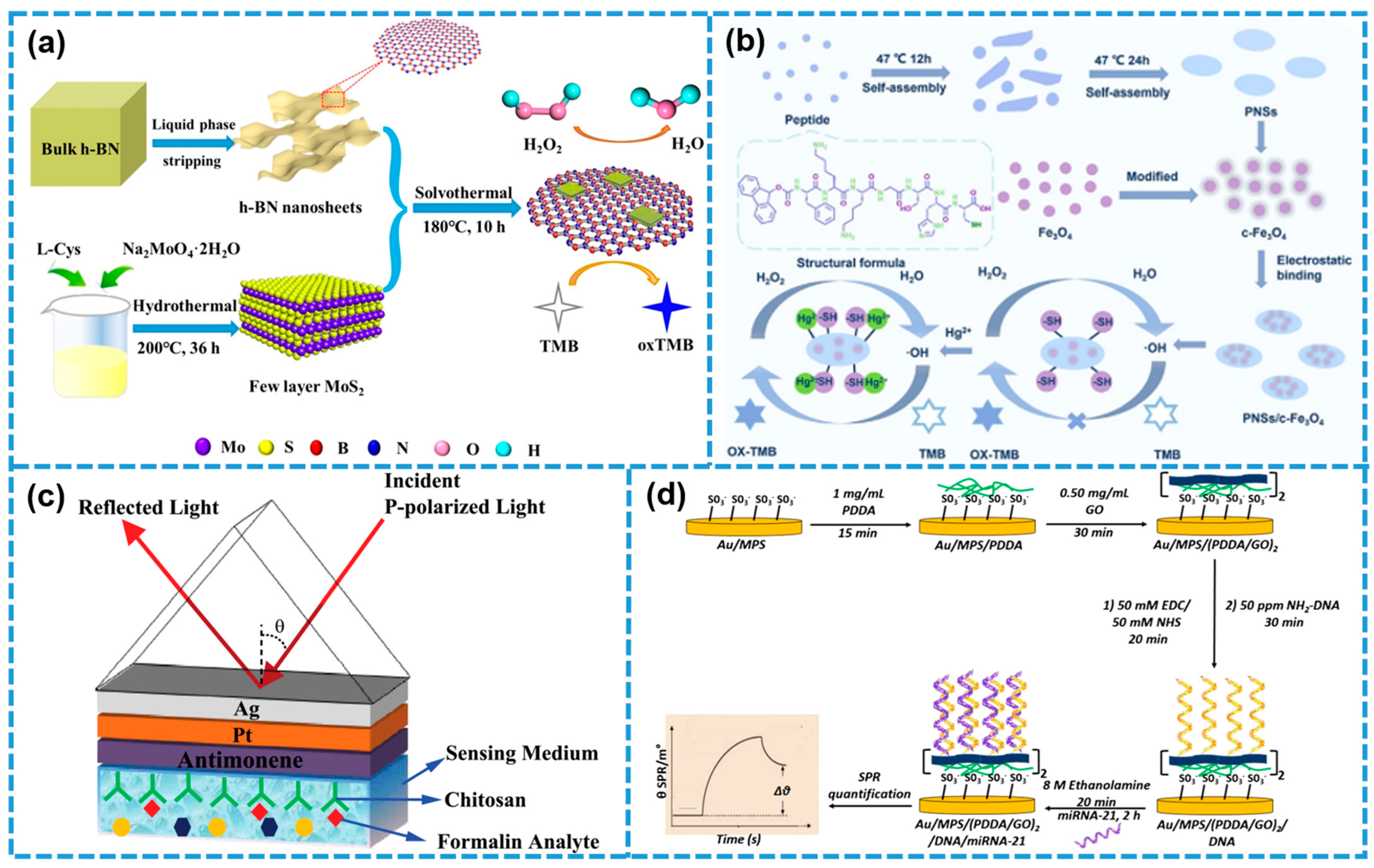 Biosensors 15 00328 g010