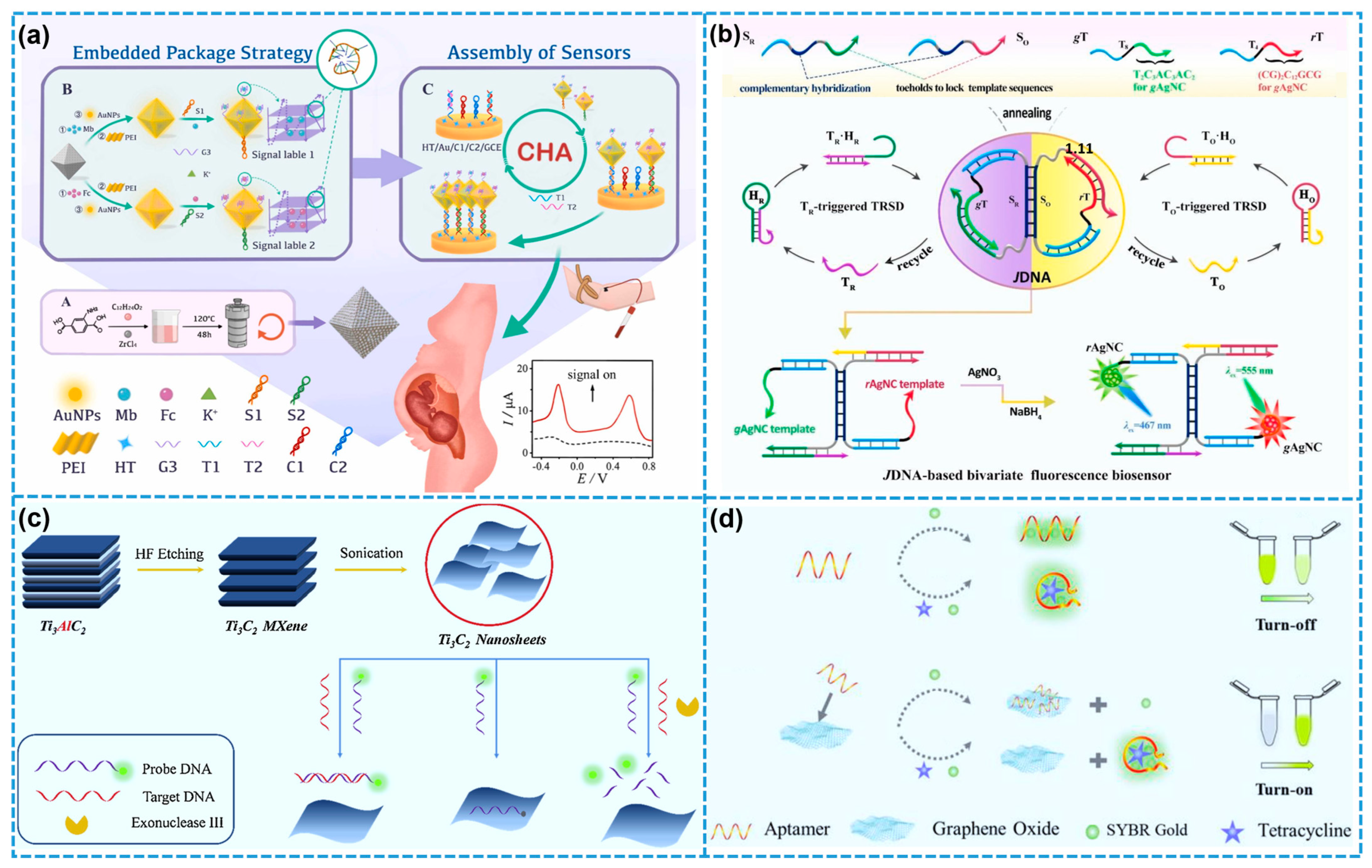 Biosensors 15 00328 g011