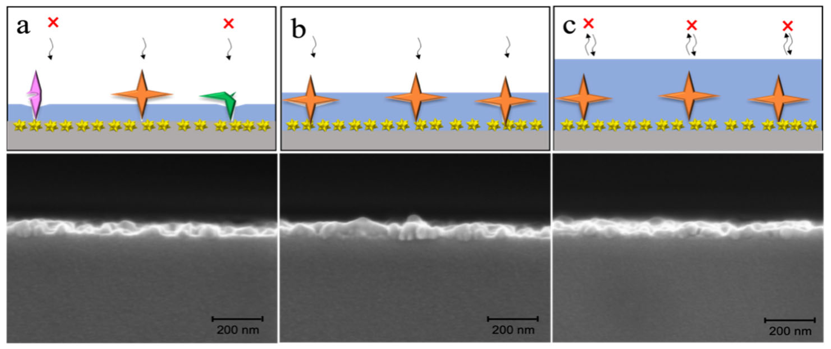 Biosensors 15 00329 g004