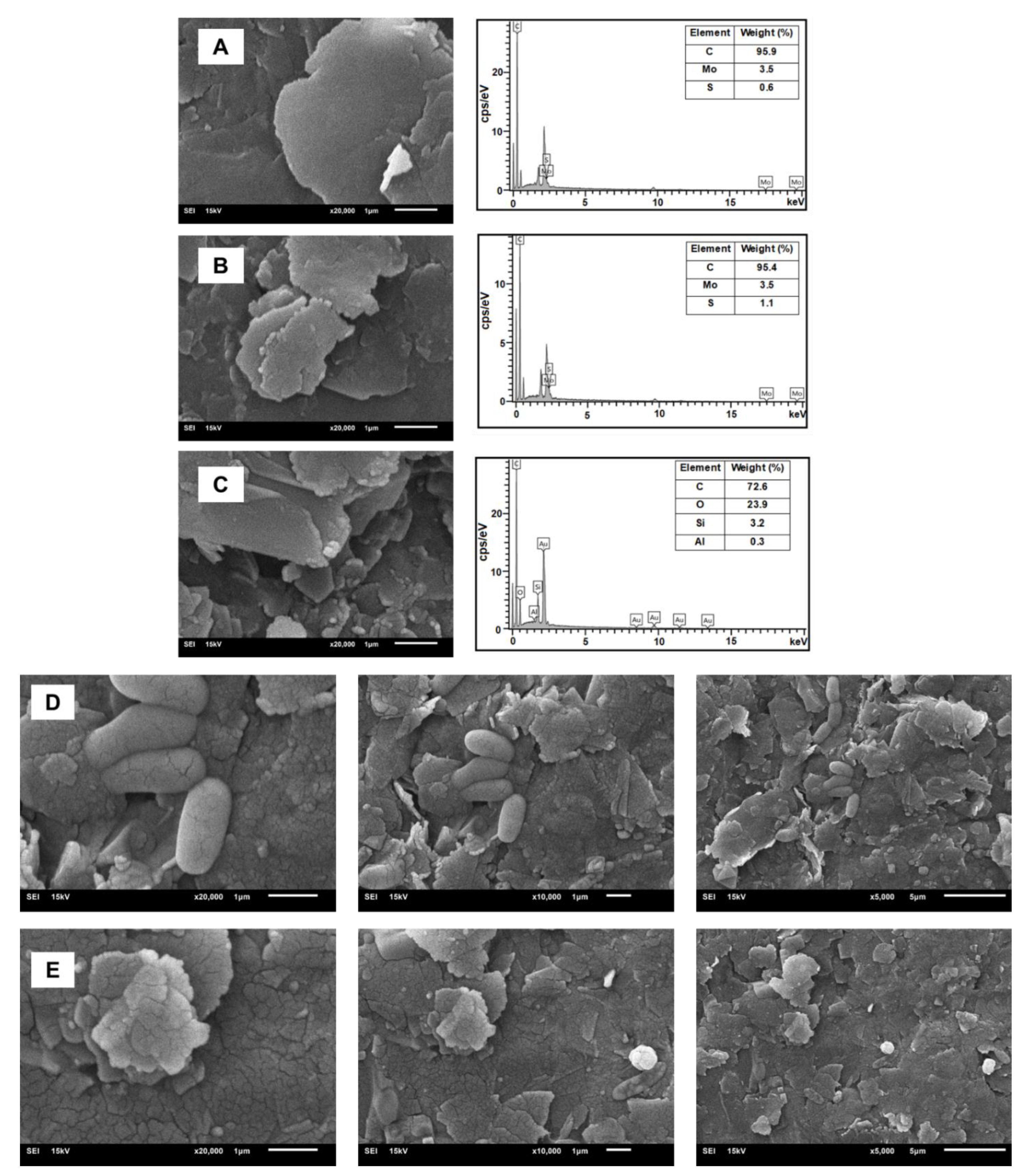 Biosensors 15 00330 g002