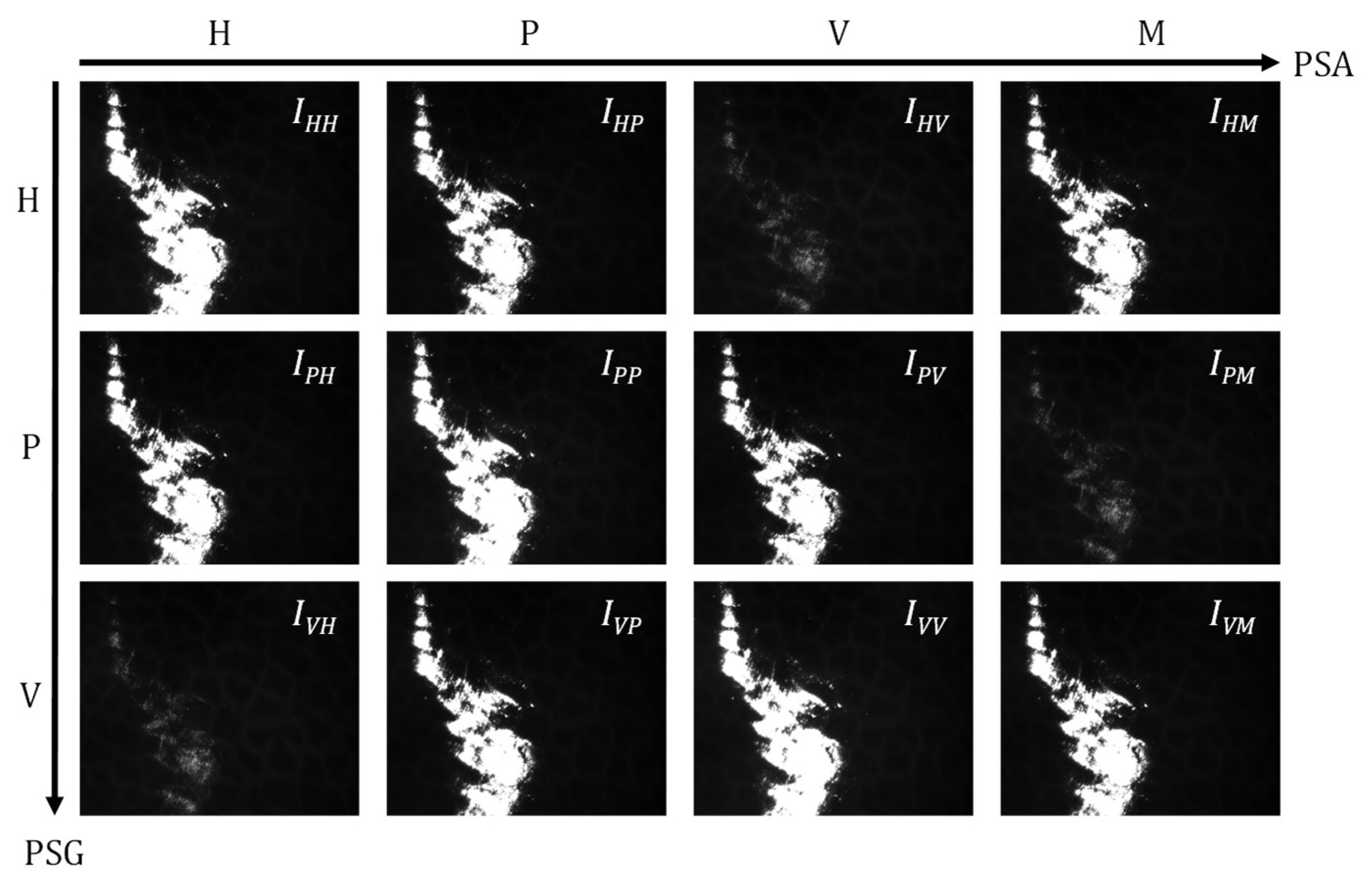 Biosensors 15 00333 g002