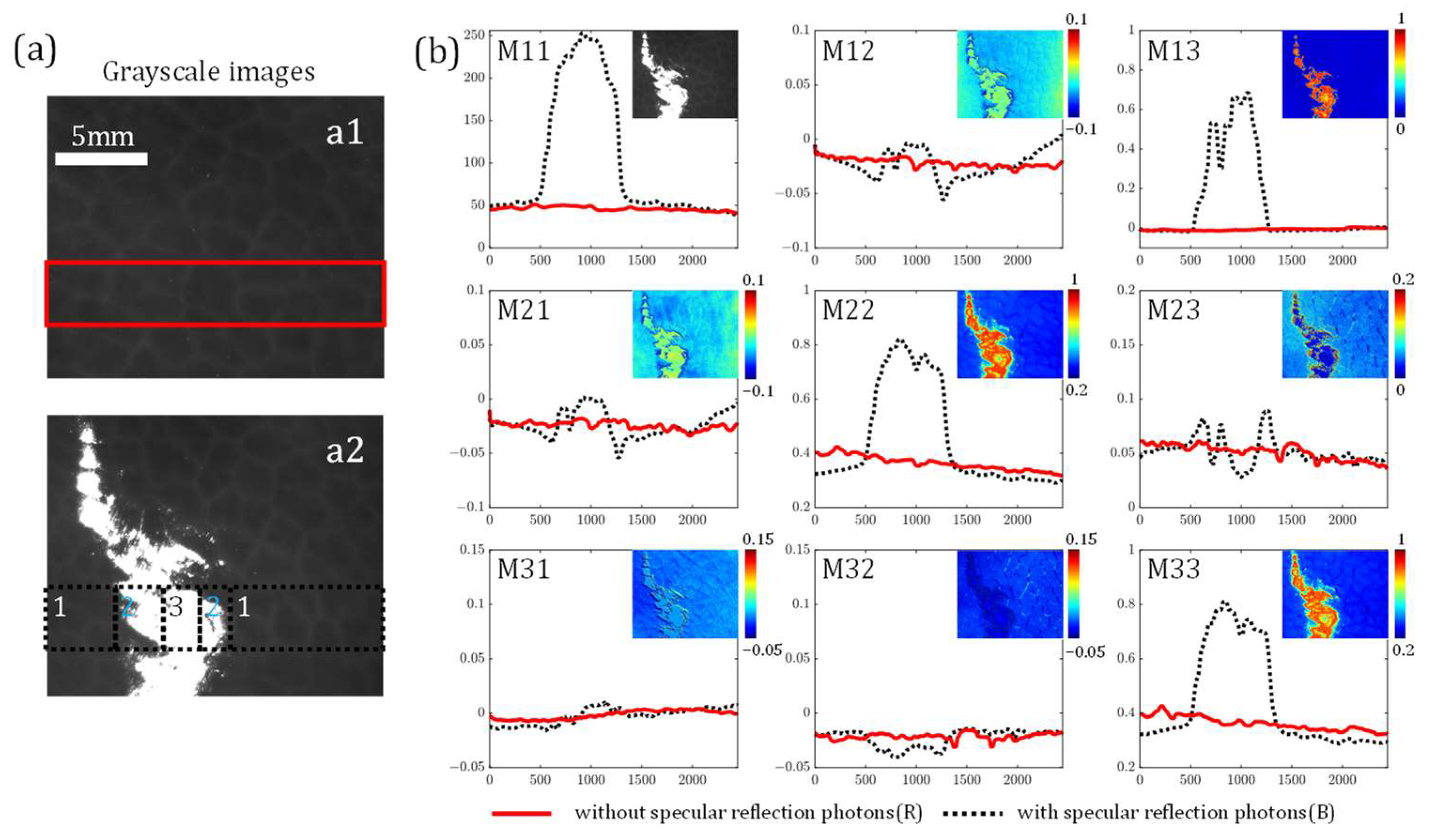 Biosensors 15 00333 g003
