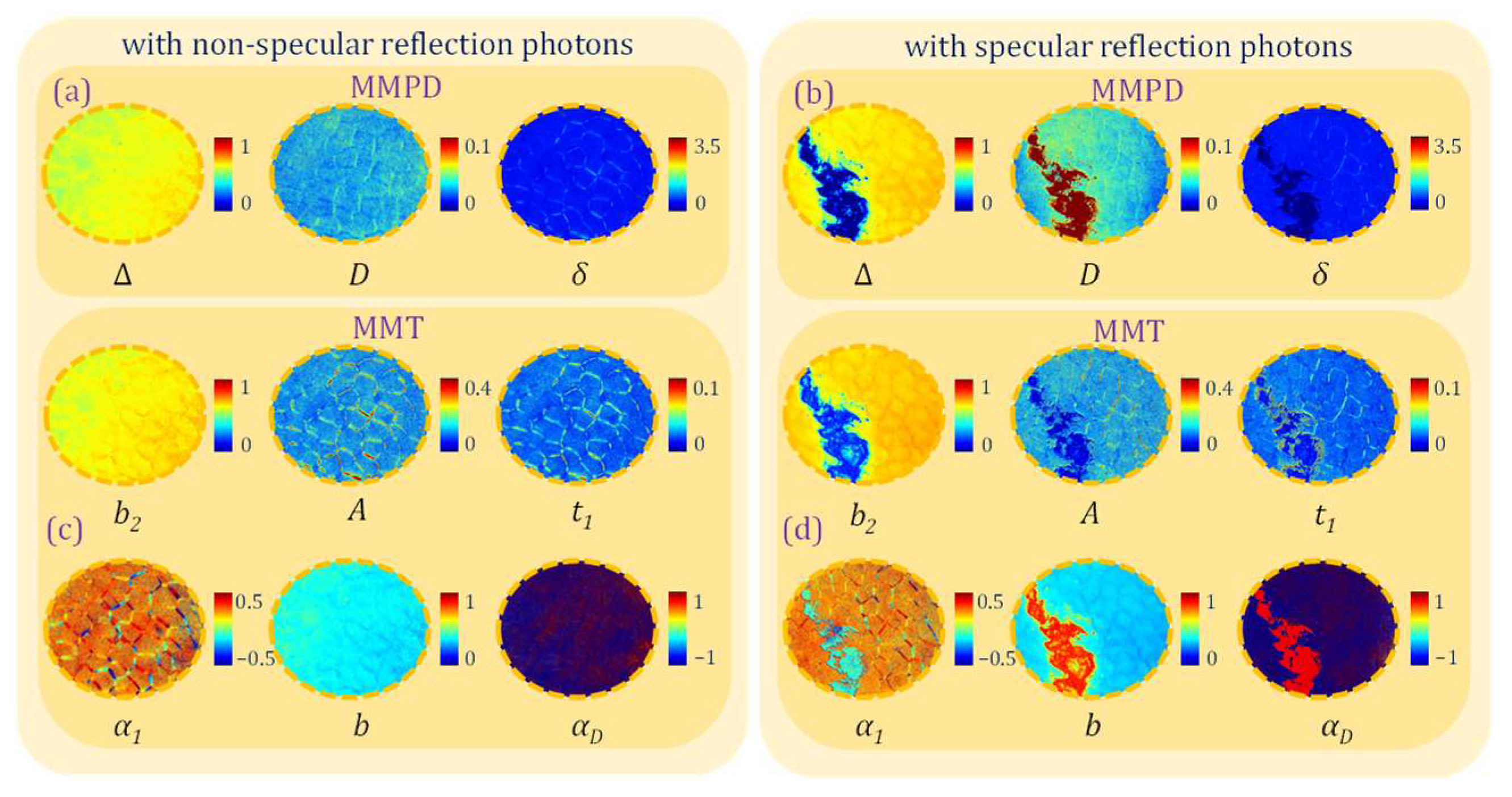 Biosensors 15 00333 g004
