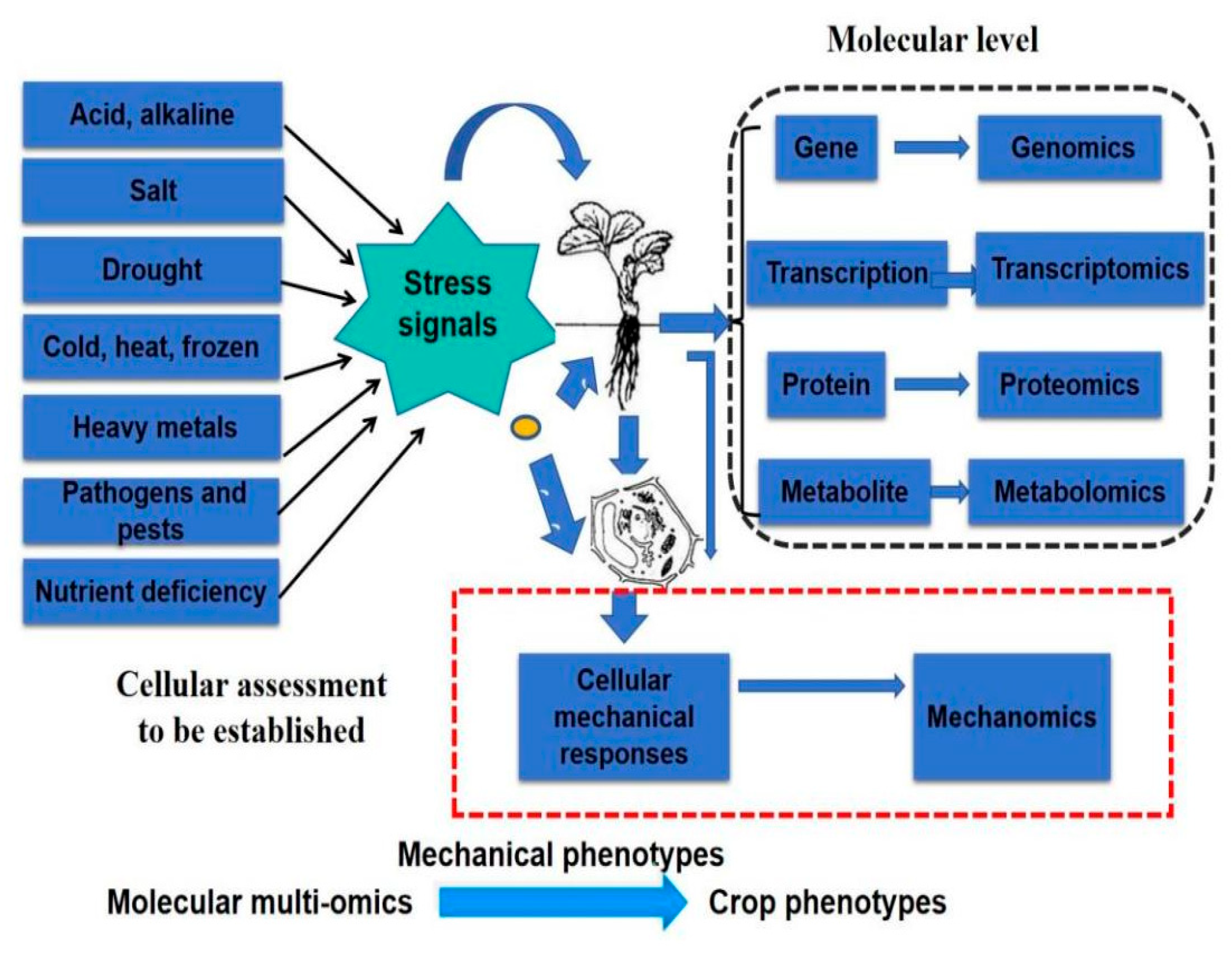 Biosensors 15 00334 g011