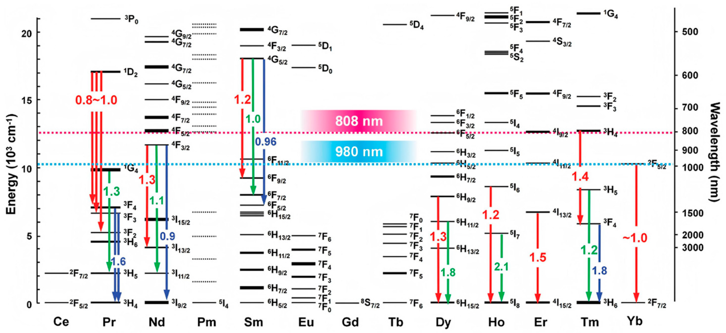 Biosensors 15 00335 g001