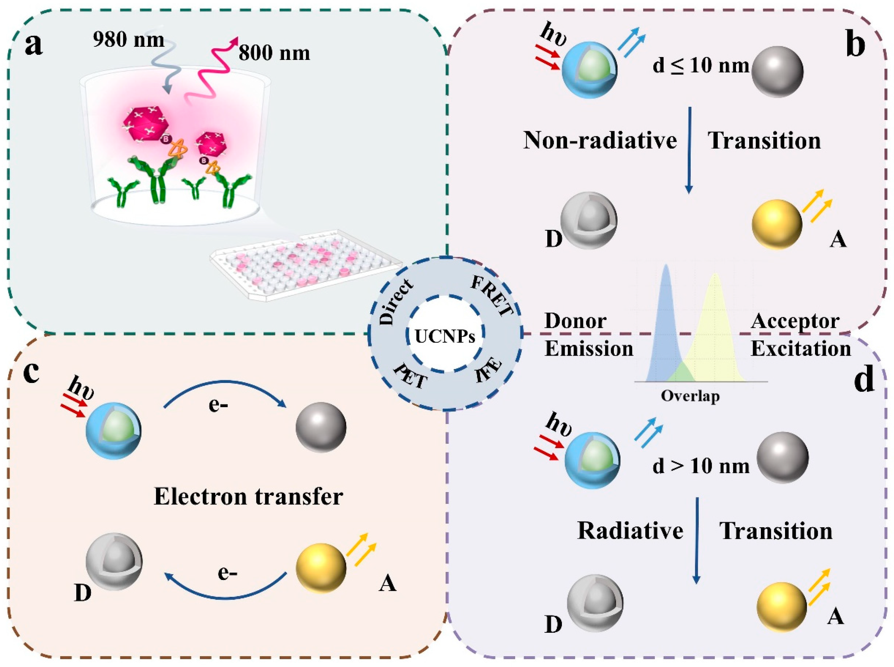 Biosensors 15 00335 g002