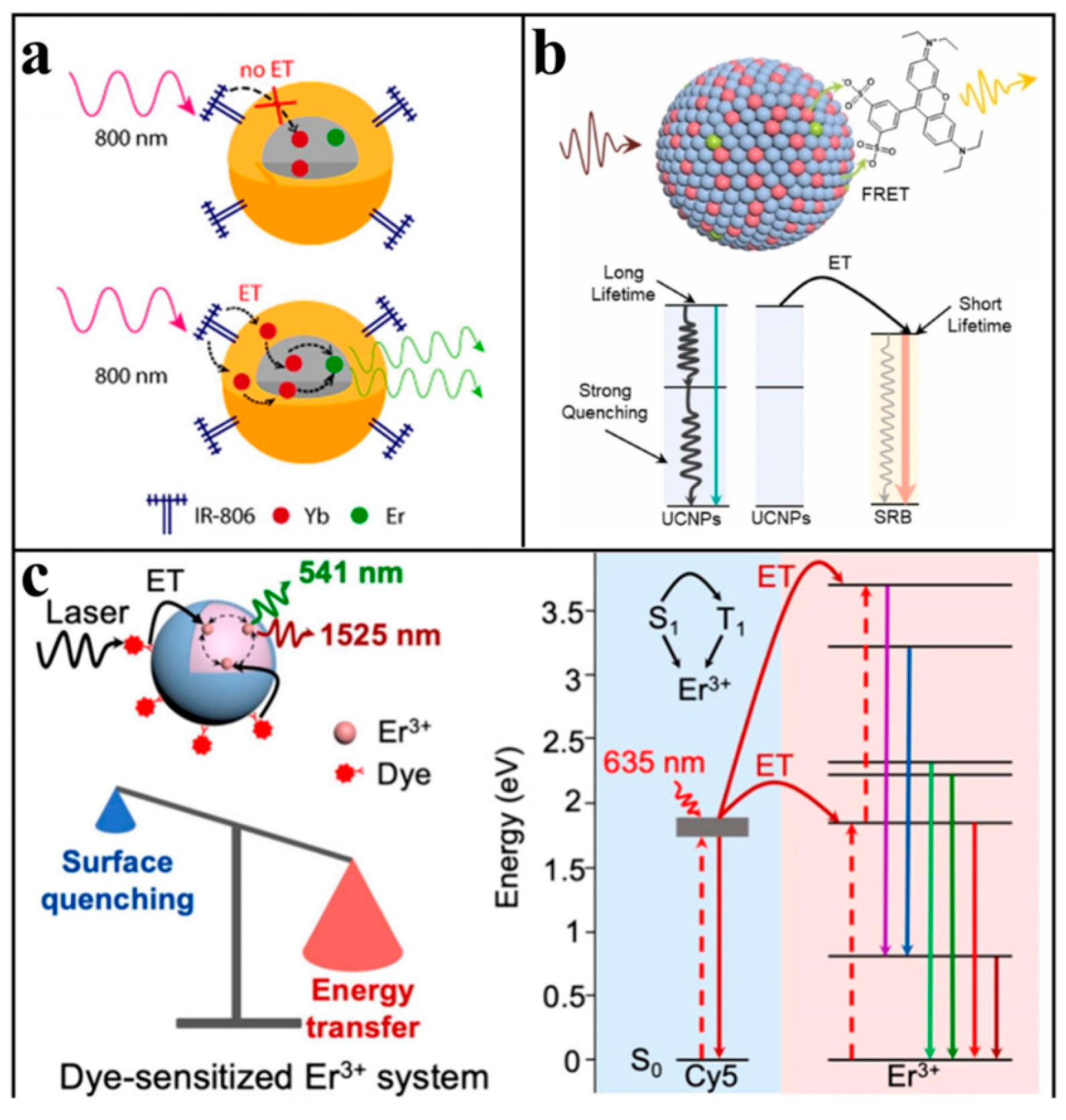 Biosensors 15 00335 g004