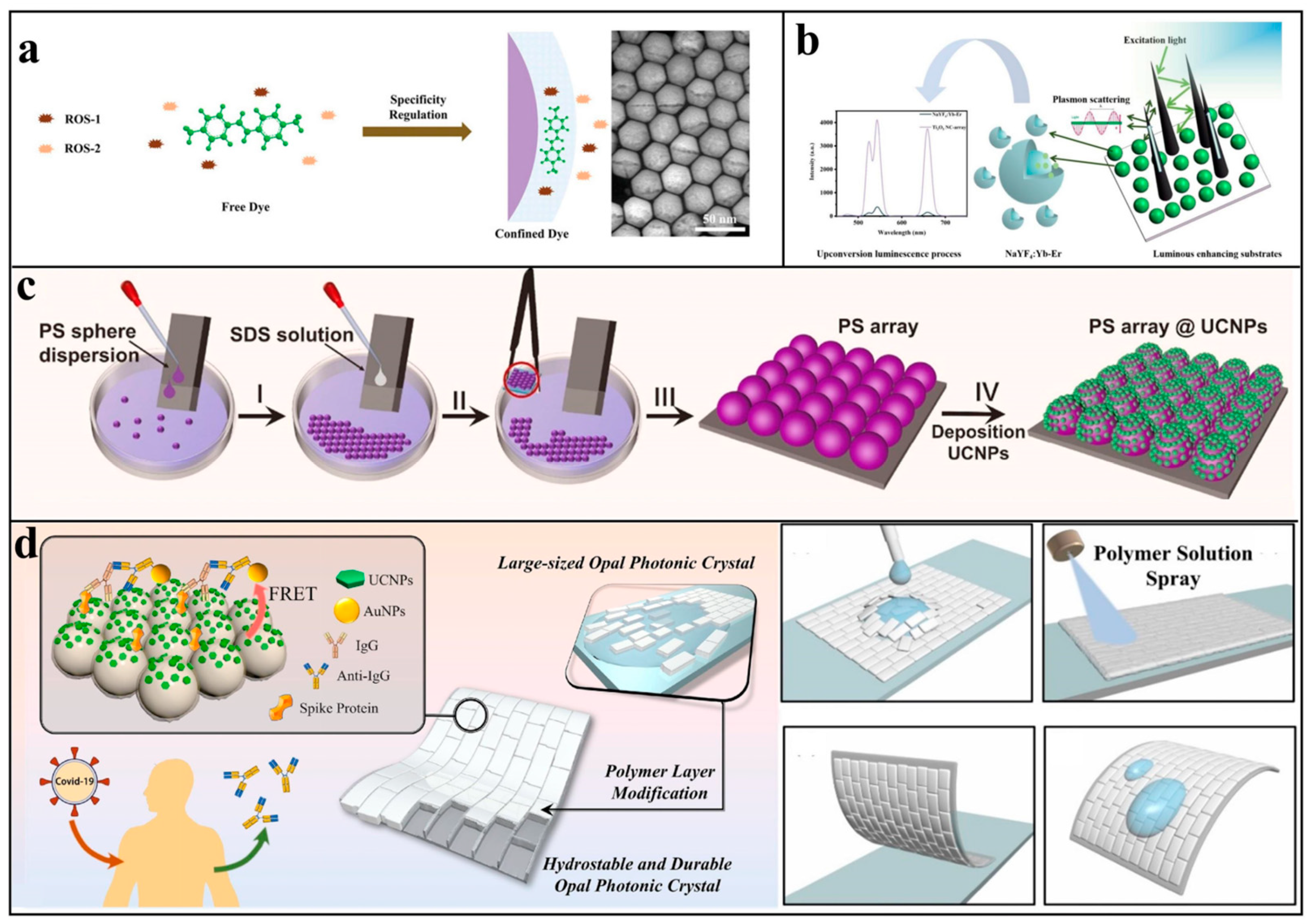 Biosensors 15 00335 g007