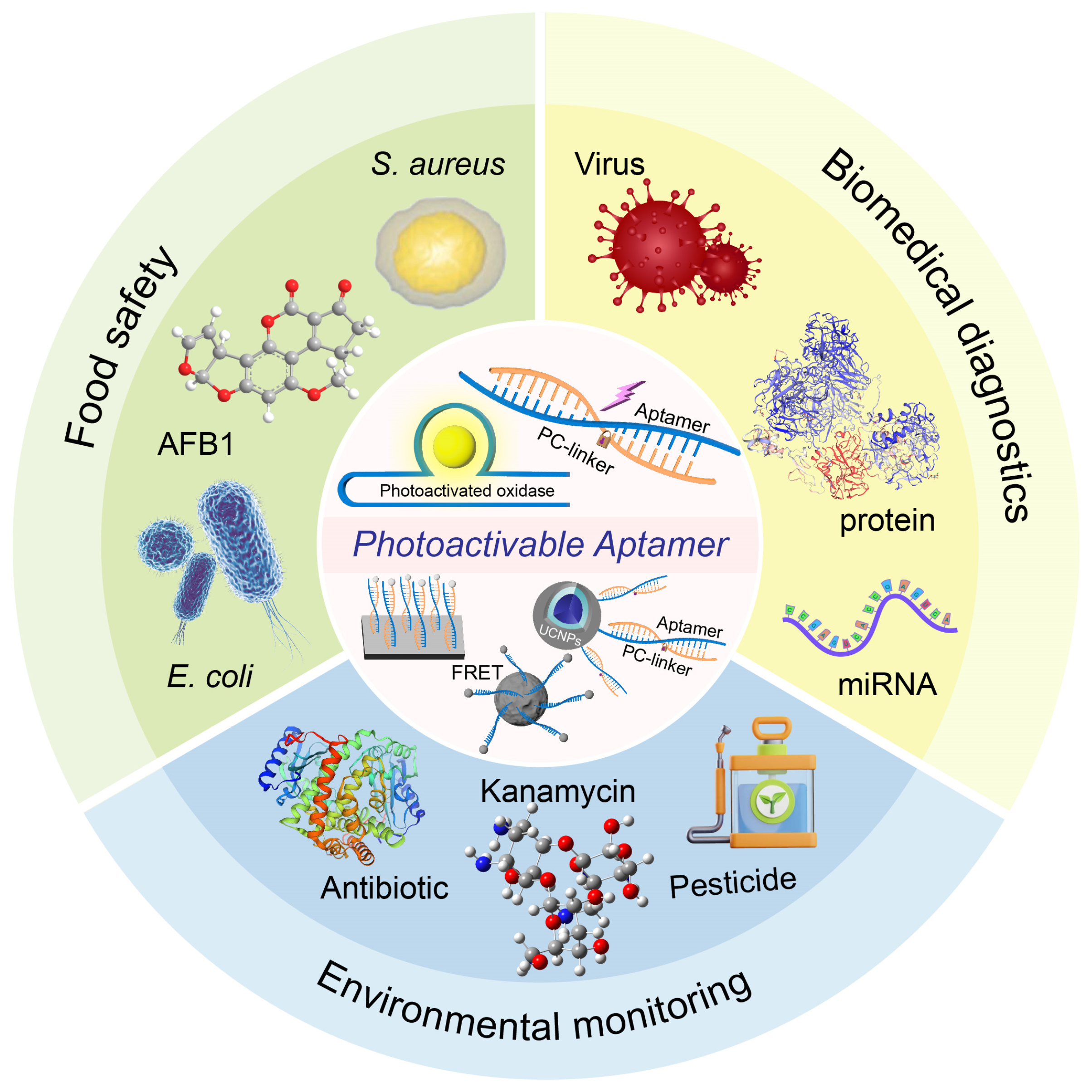 Biosensors 15 00336 g001