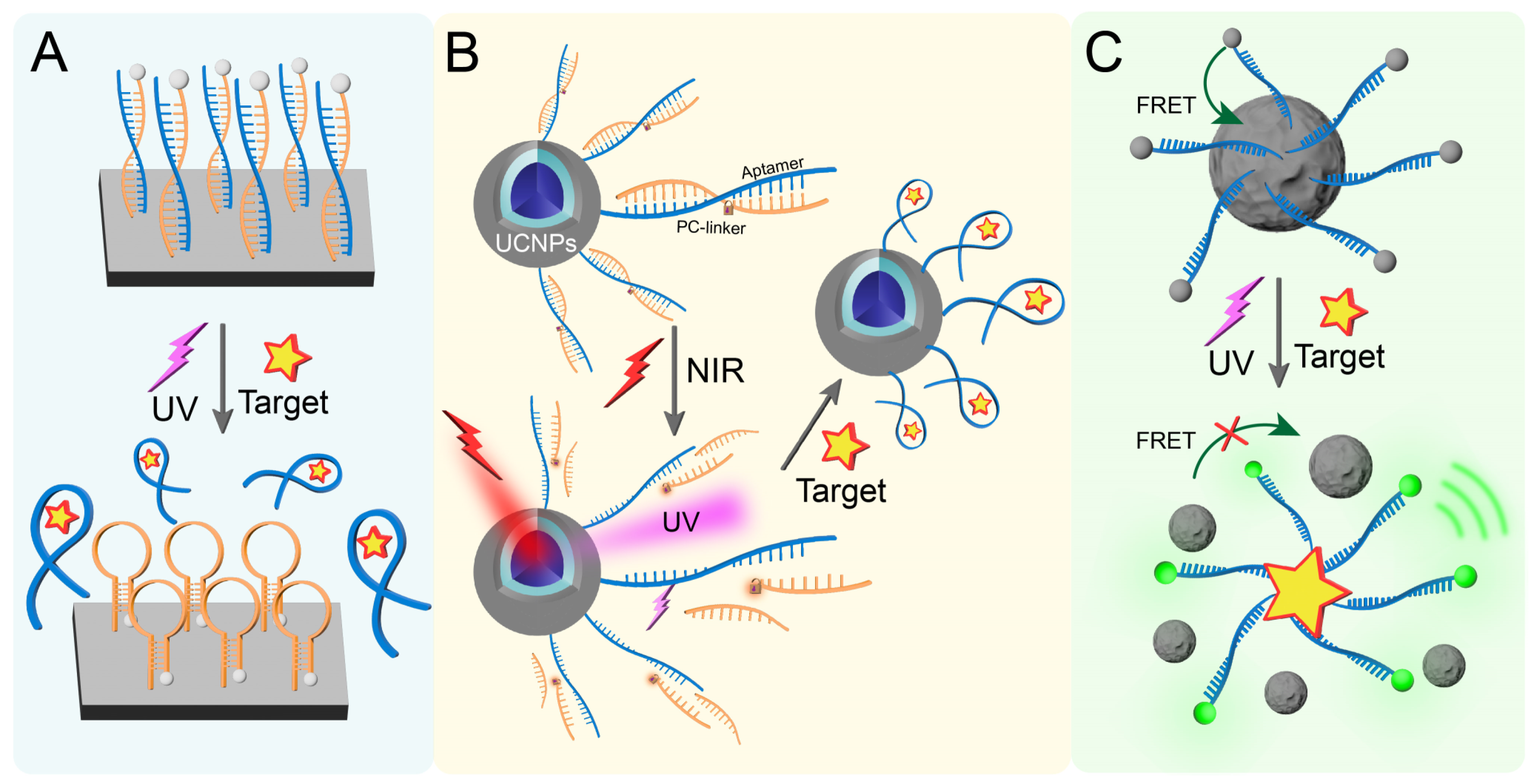 Biosensors 15 00336 g003