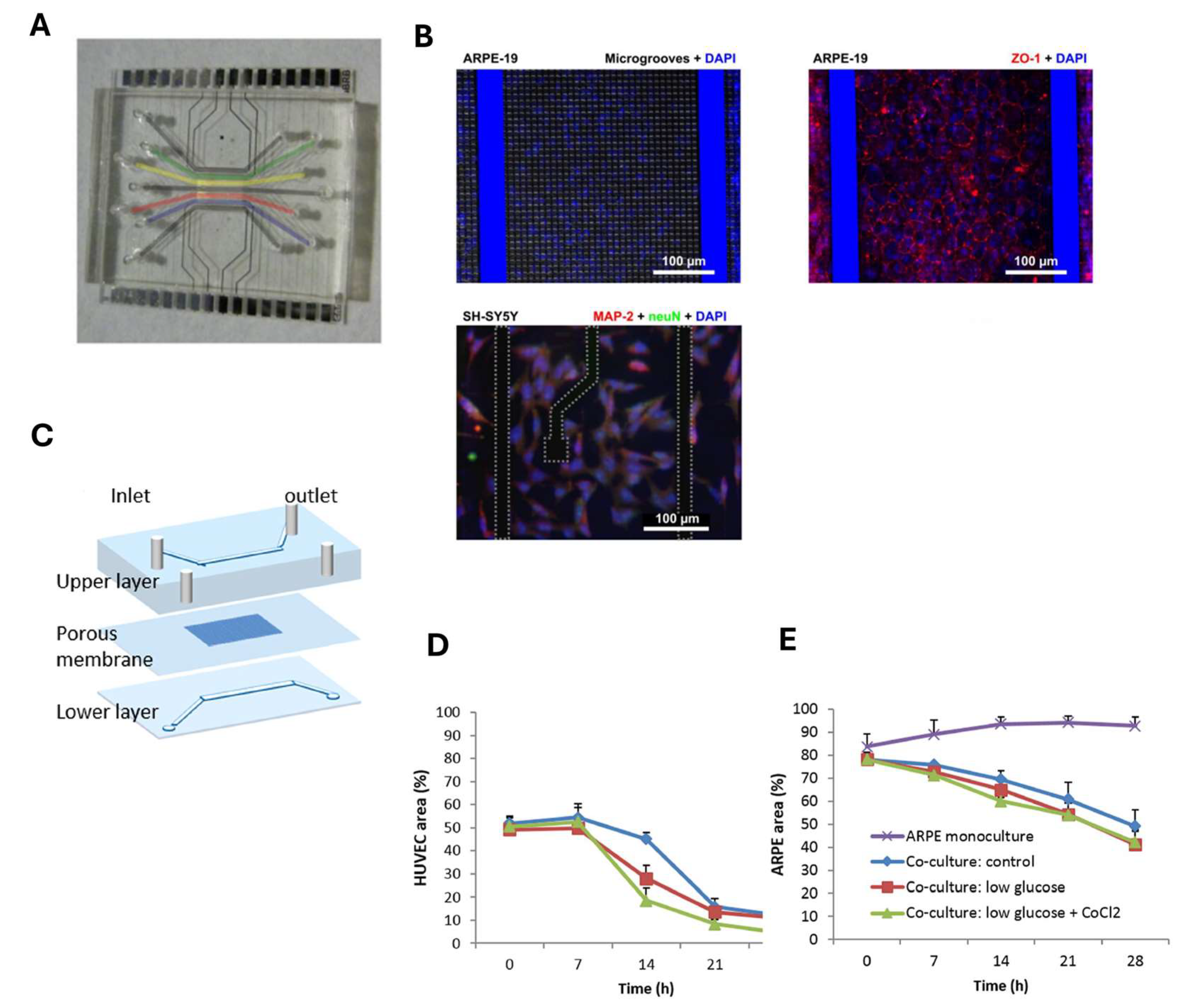 Biosensors 15 00338 g004