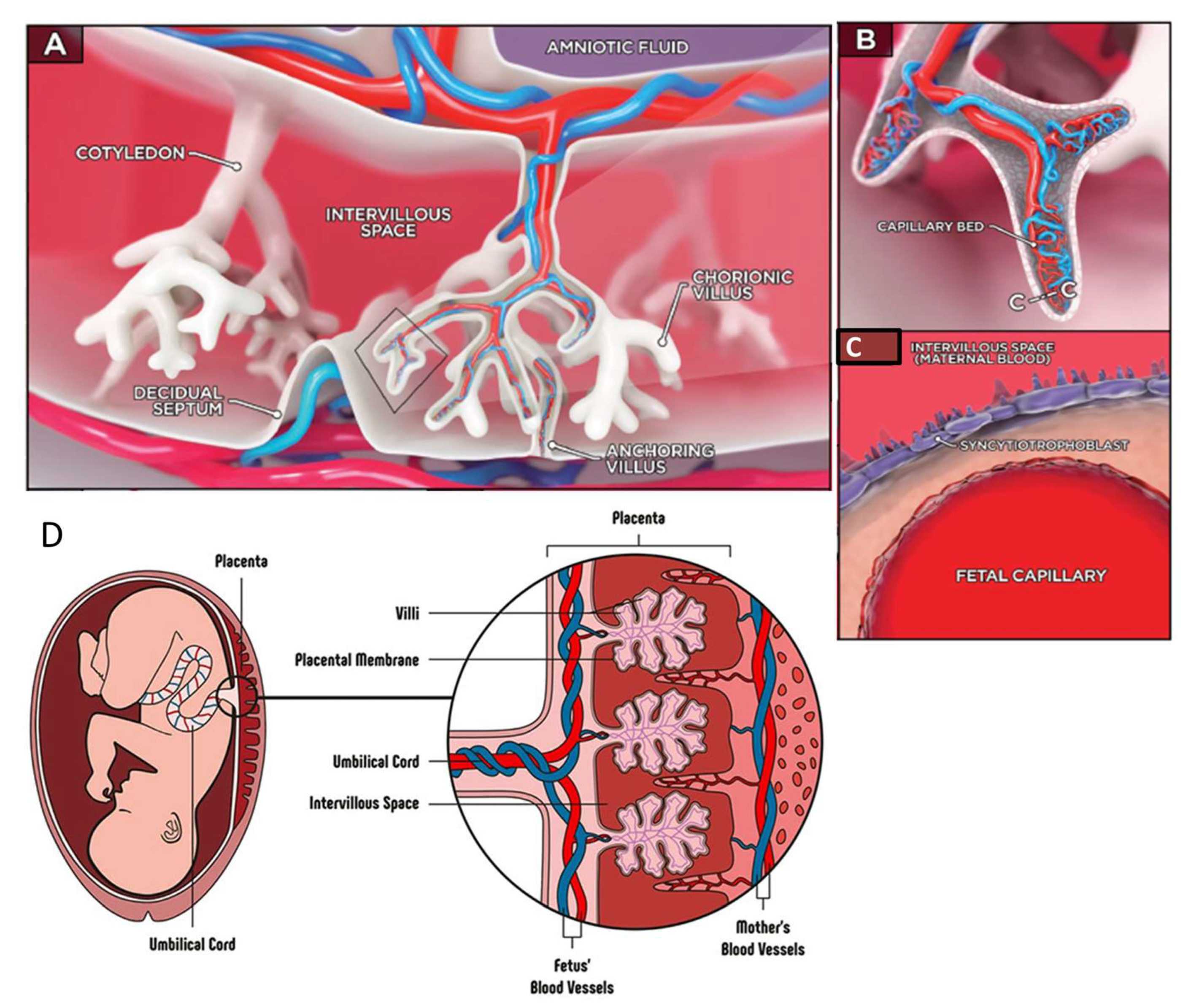 Biosensors 15 00338 g010