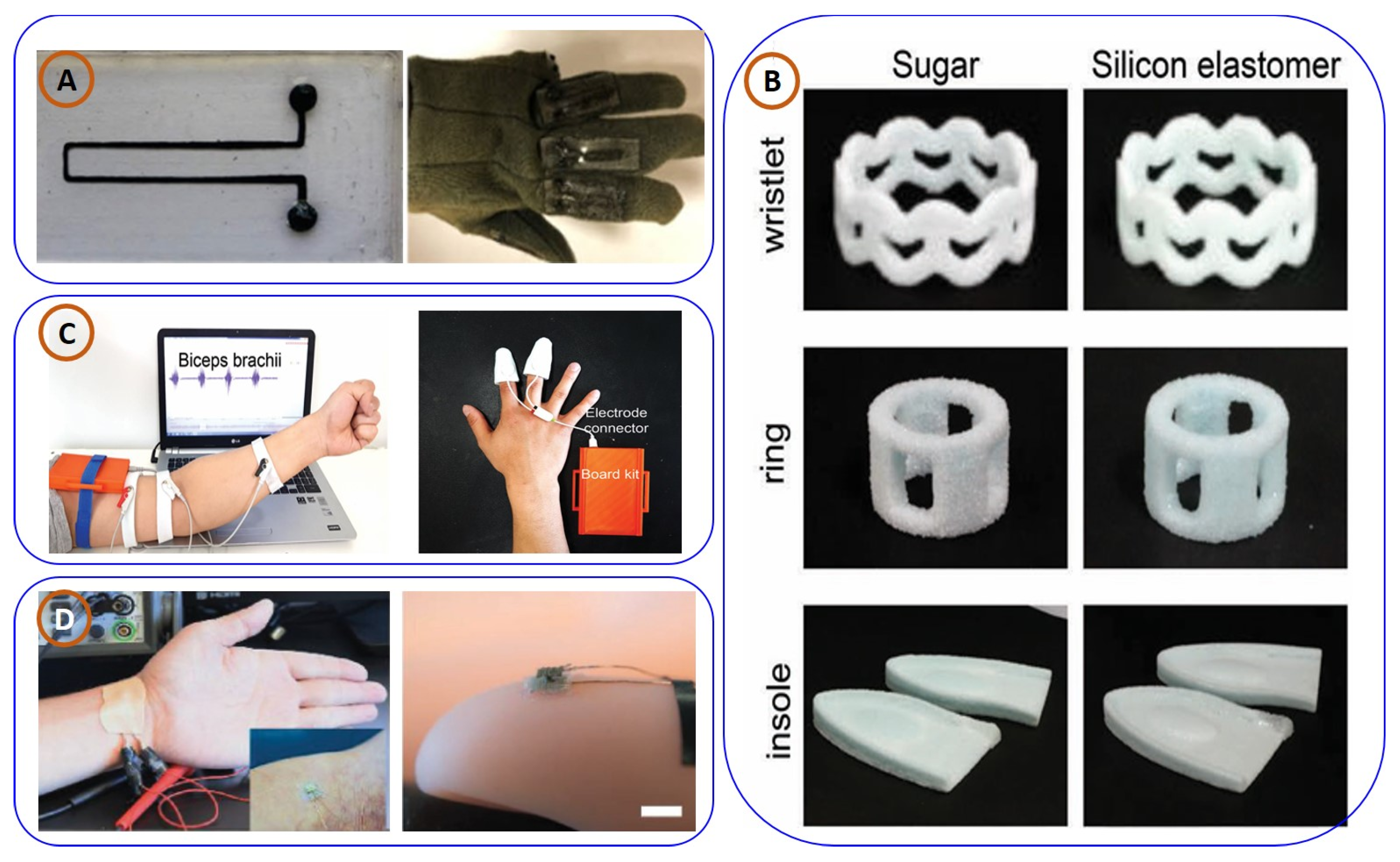 Biosensors 15 00340 g004