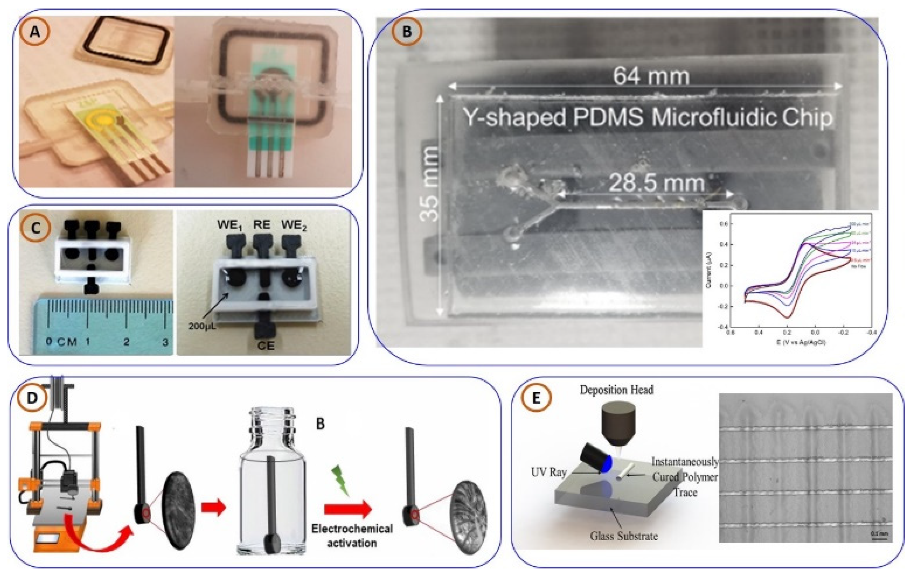 Biosensors 15 00340 g006