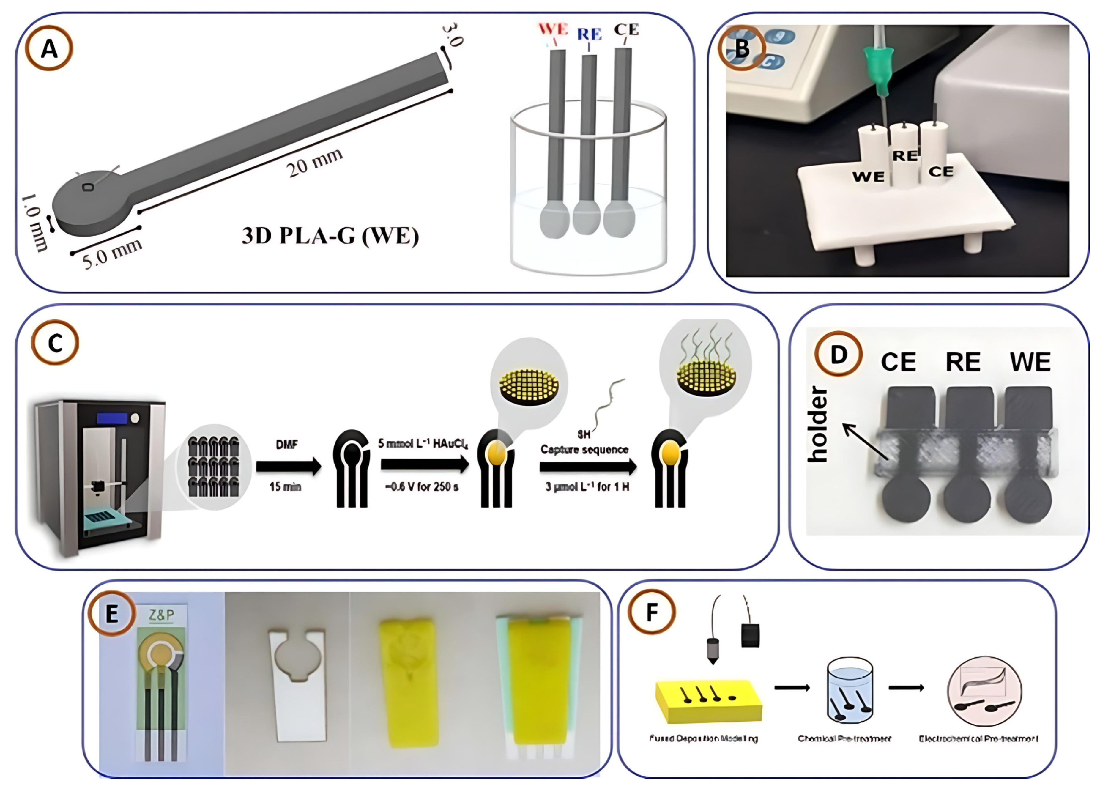 Biosensors 15 00340 g007