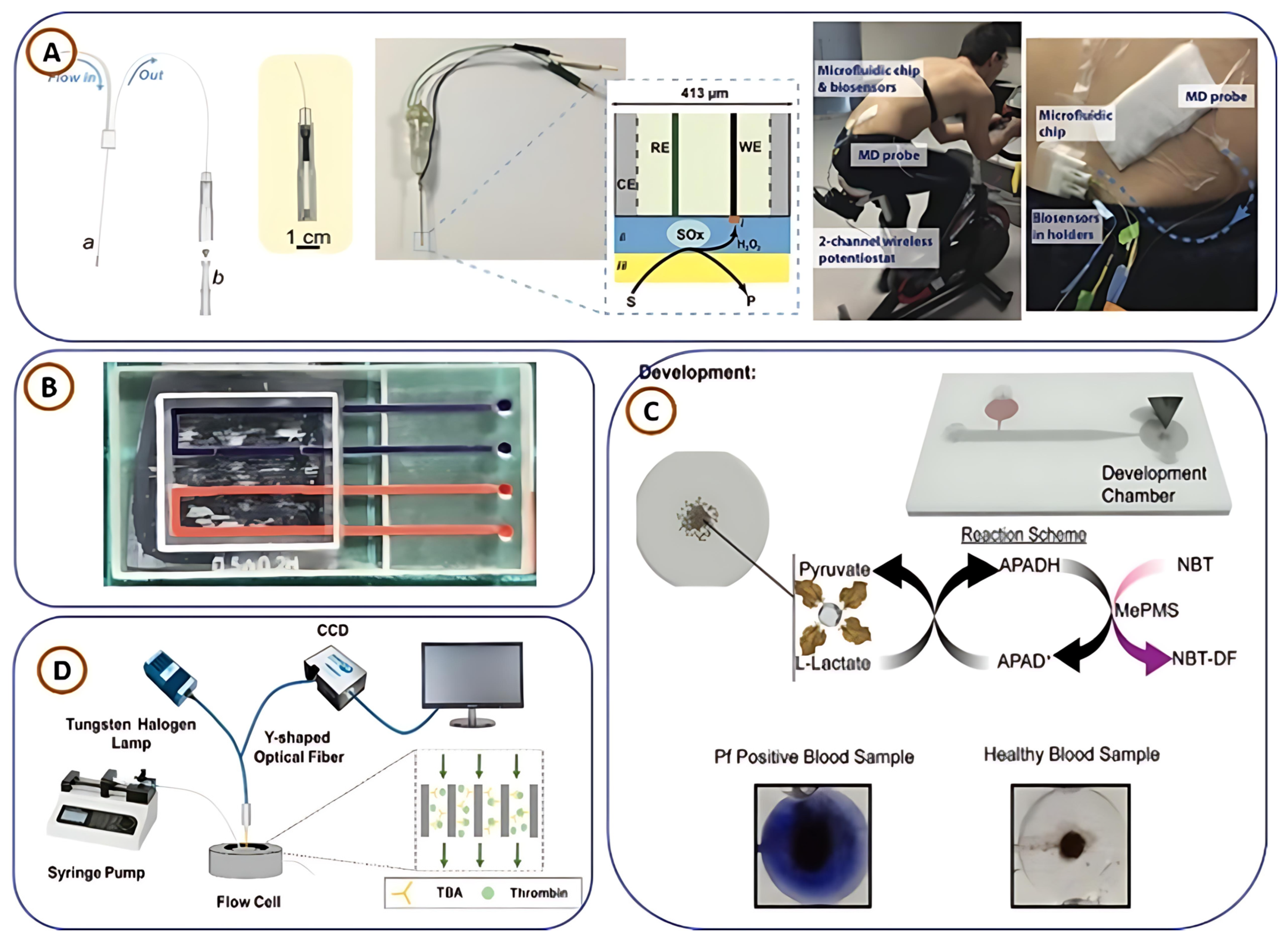 Biosensors 15 00340 g010
