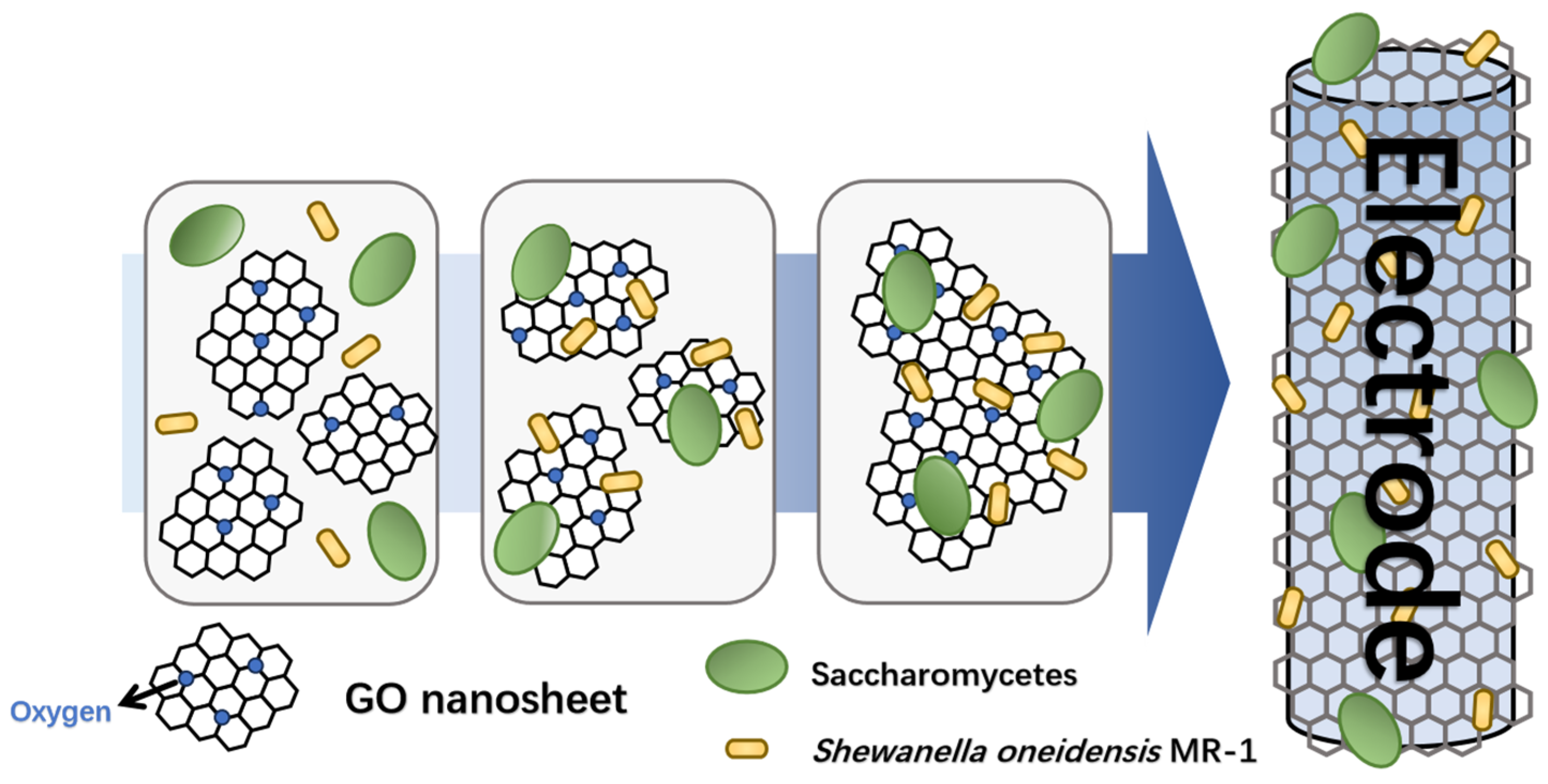 Biosensors 15 00341 sch001