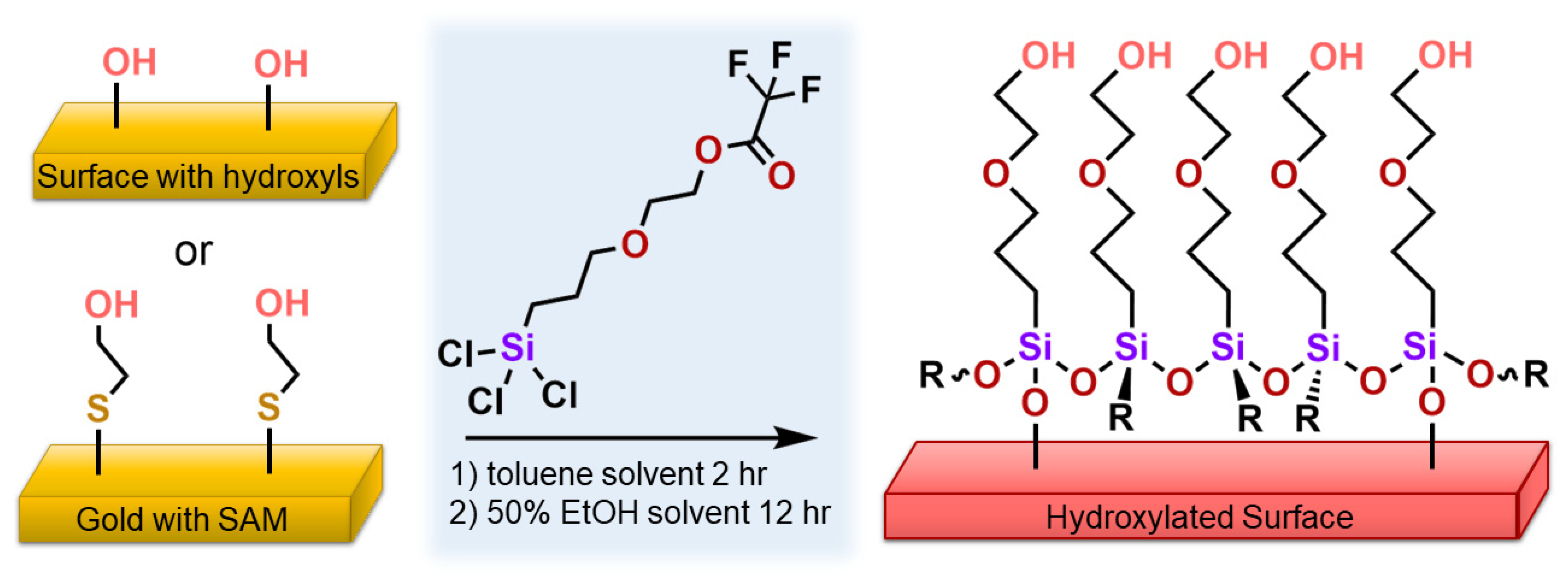Biosensors 15 00343 g001