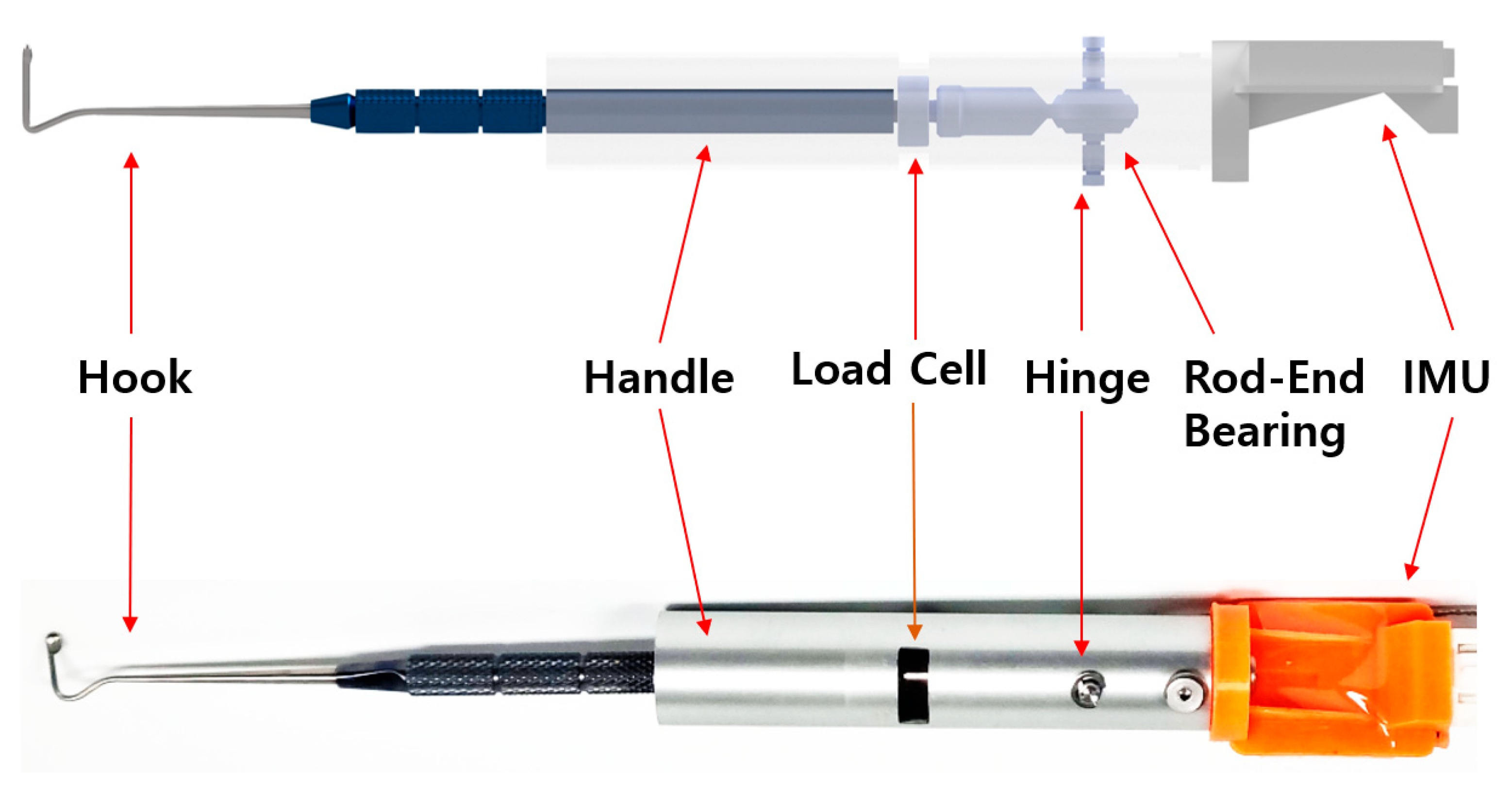 Biosensors 15 00347 g002